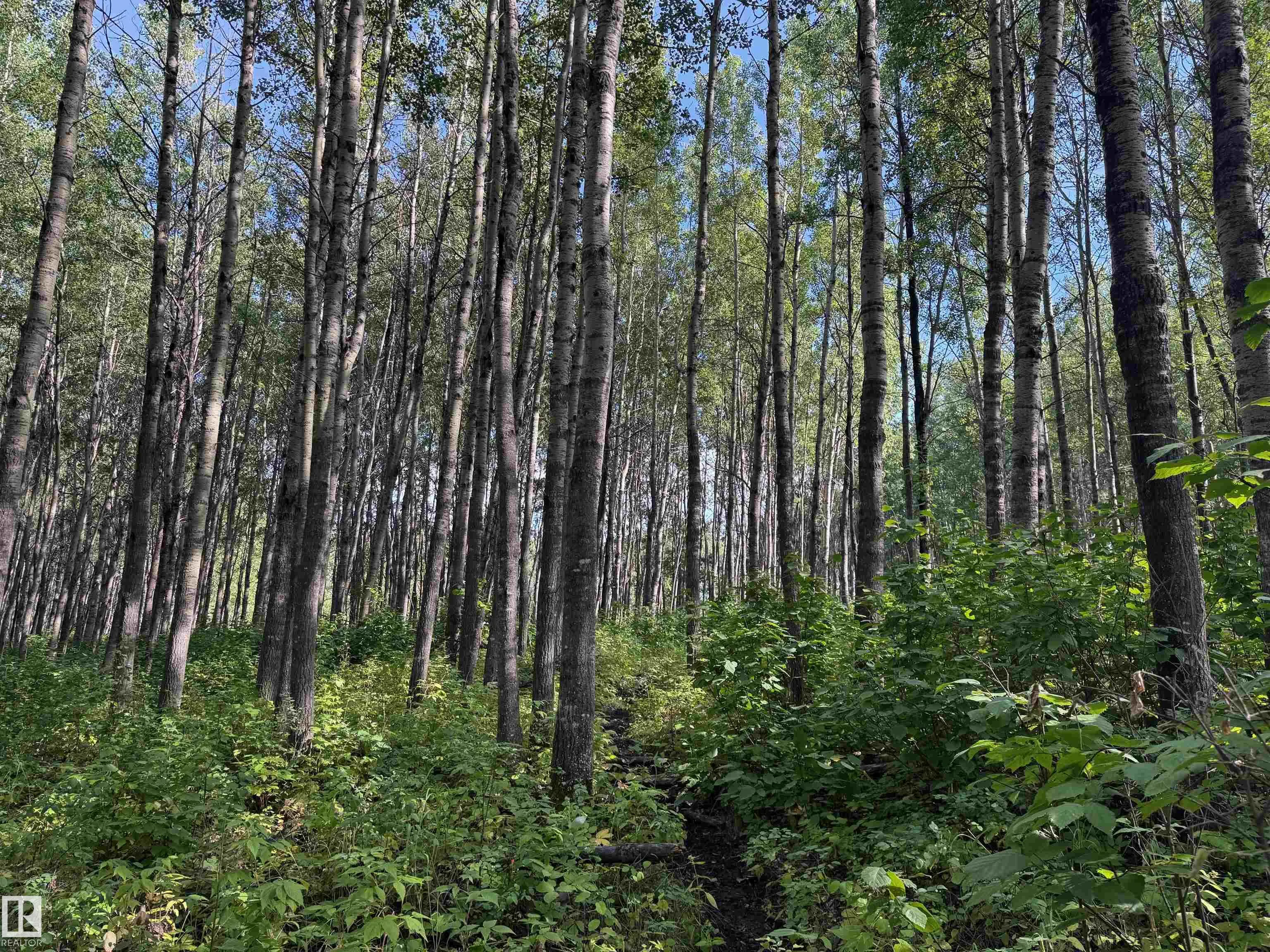 on Twp Rd 505