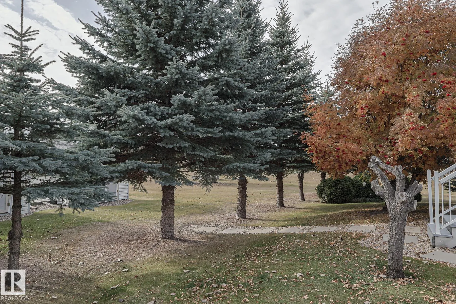 56220 RGE ROAD 230