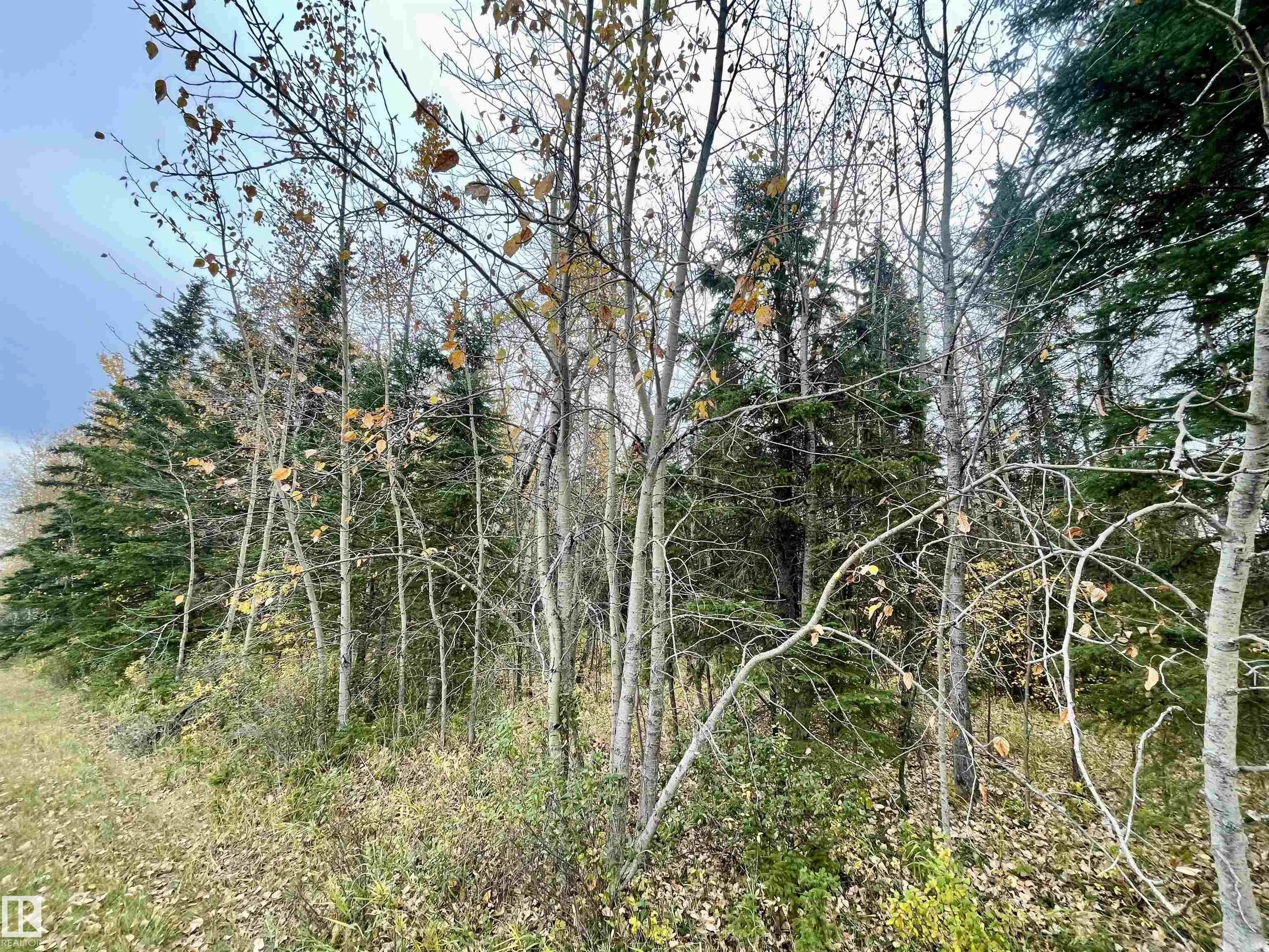 3 Pleasant Valley Acres