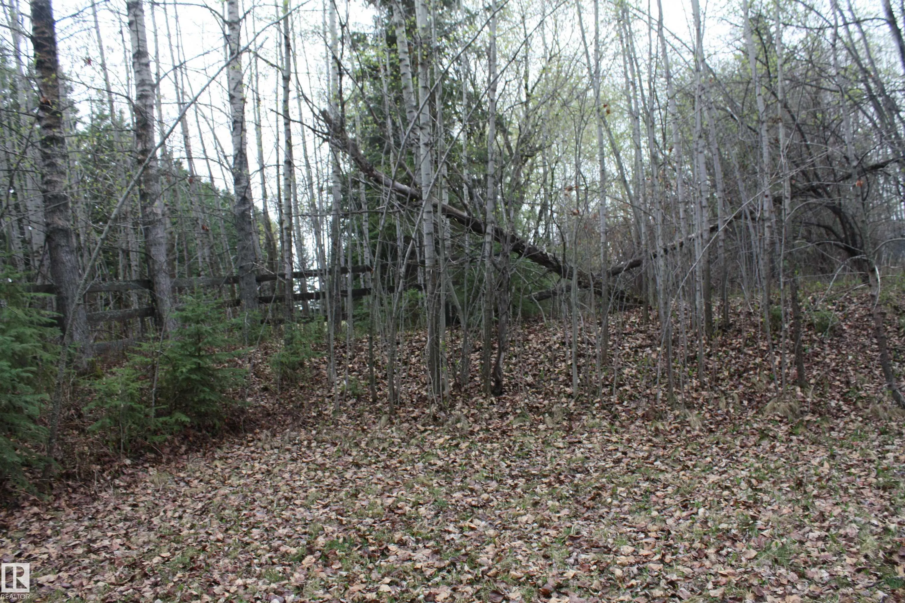 61076 TWP ROAD 462 A