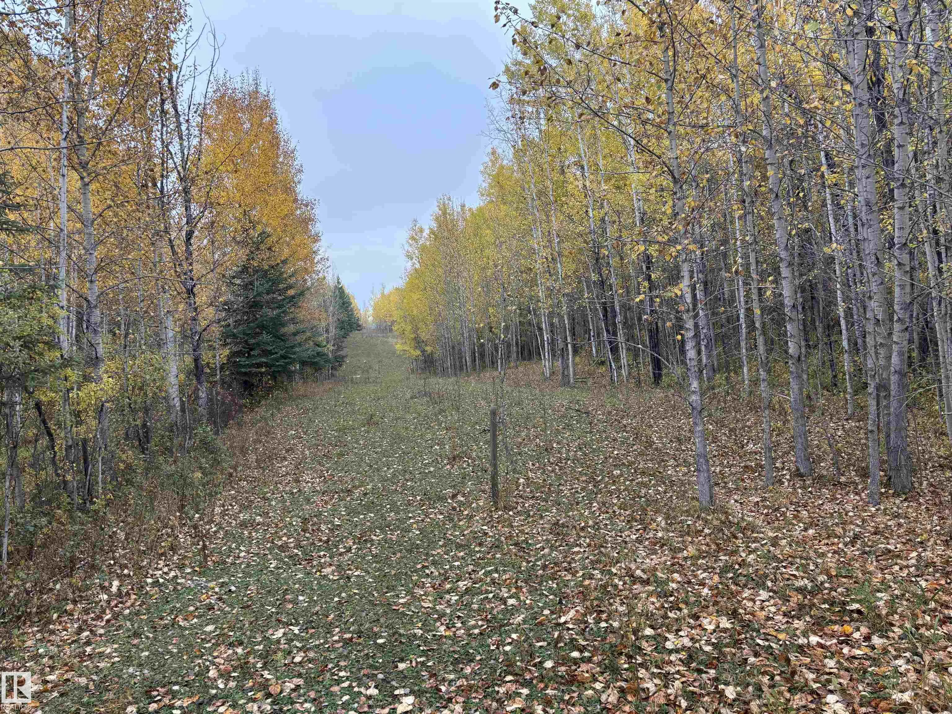 3138 TWP RD 510