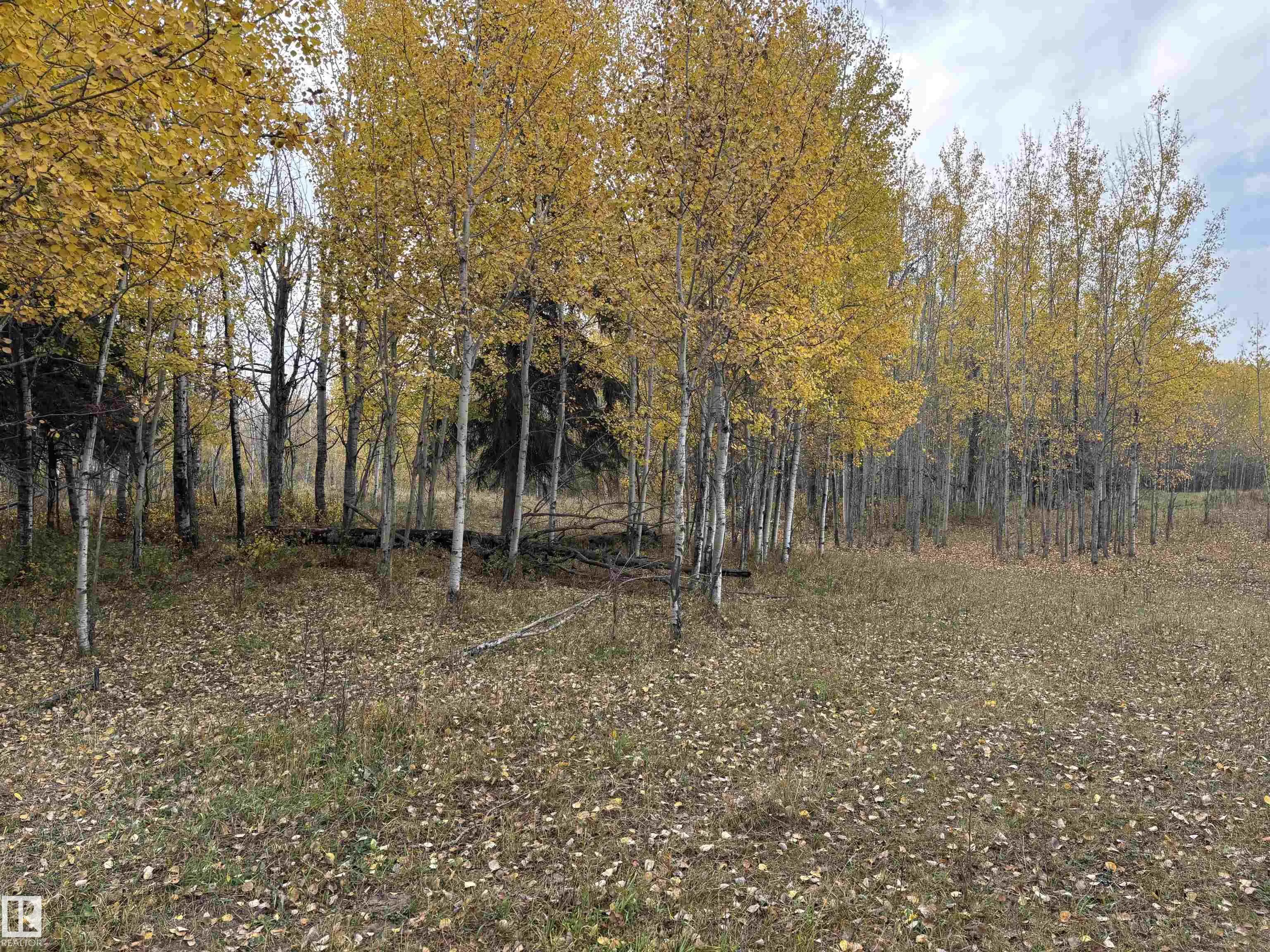 3138 TWP RD 510