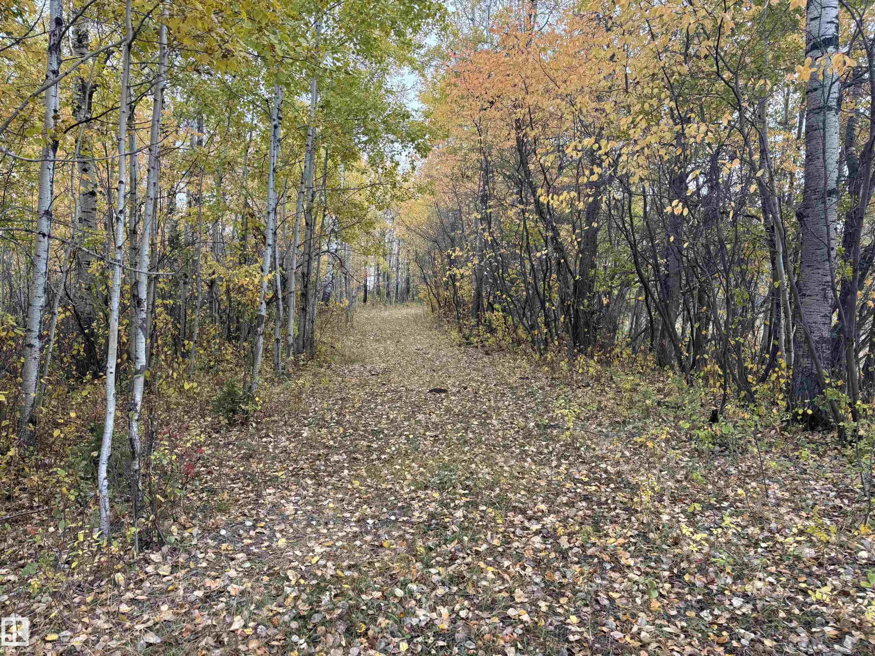 3138 TWP RD 510