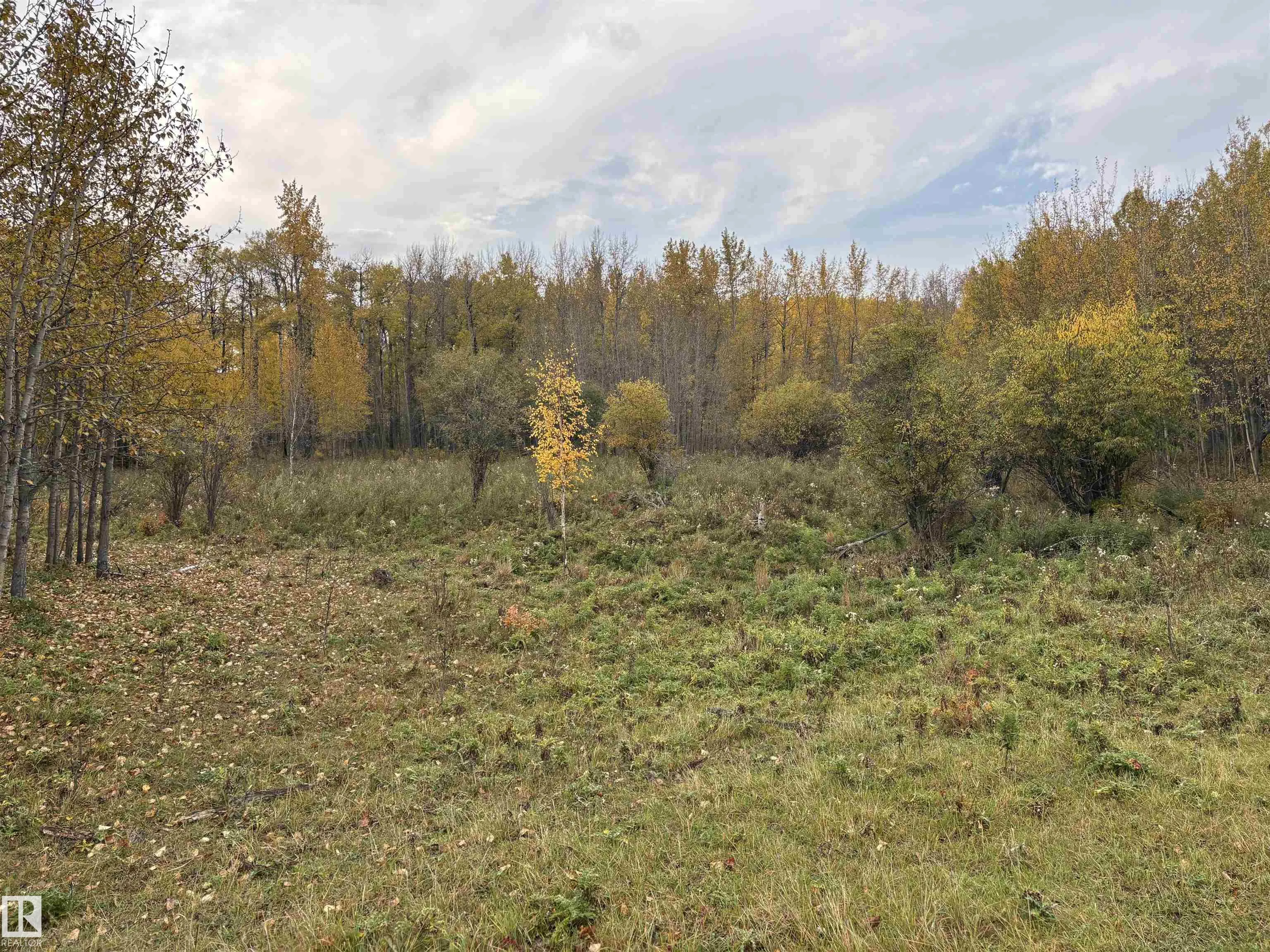3138 TWP RD 510