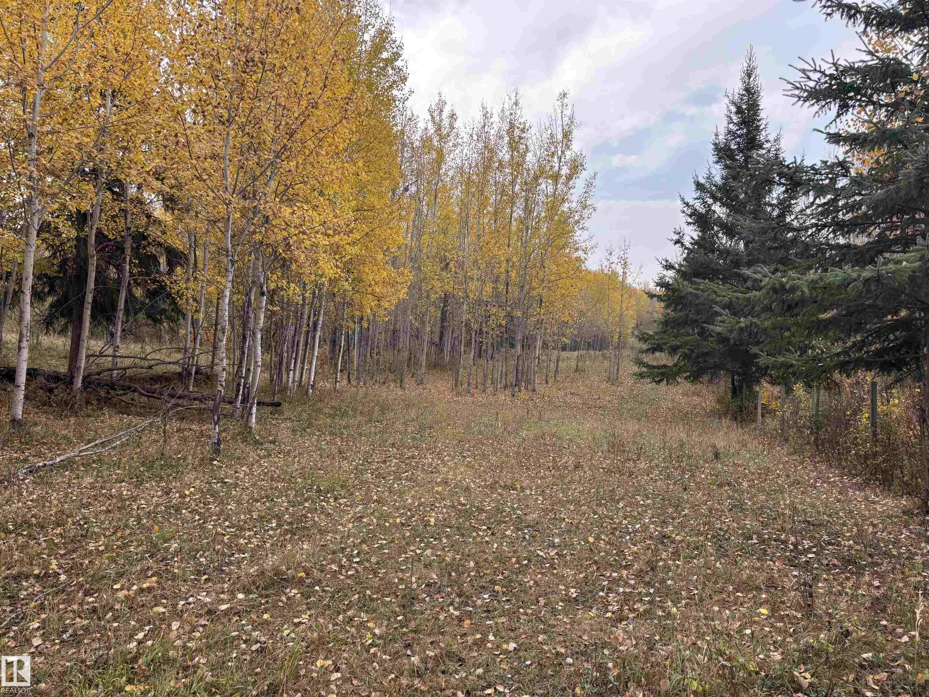 3138 TWP RD 510