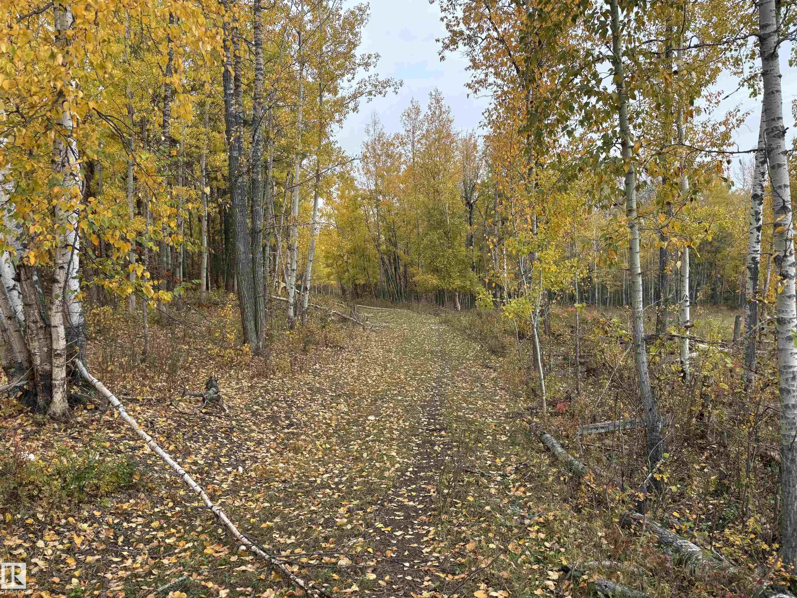 3138 TWP RD 510