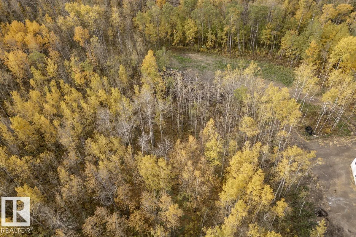 20319 TWP RD 504