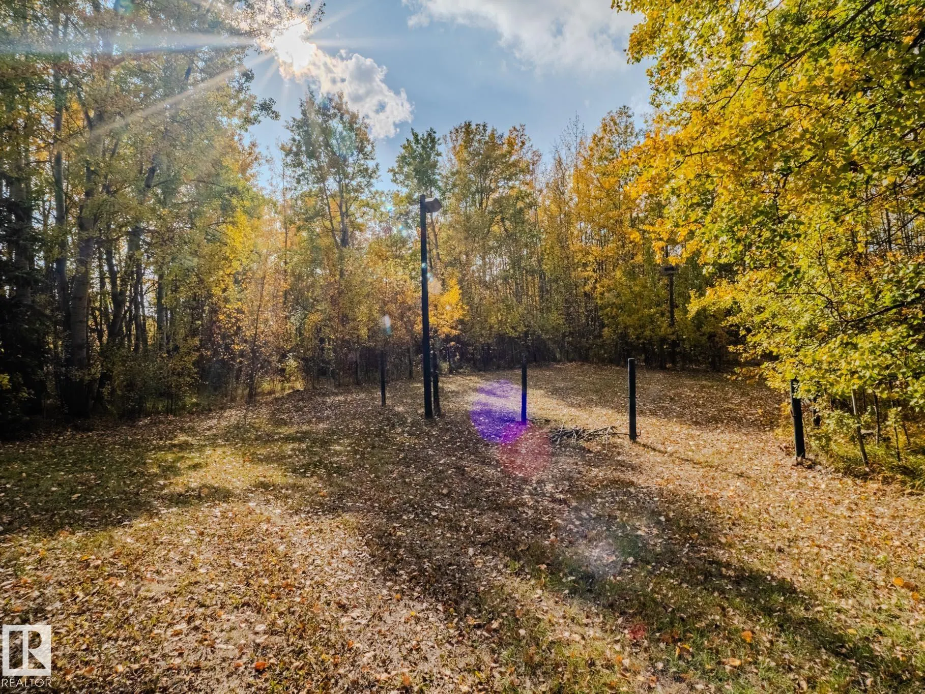 1524 PARKLAND Drive