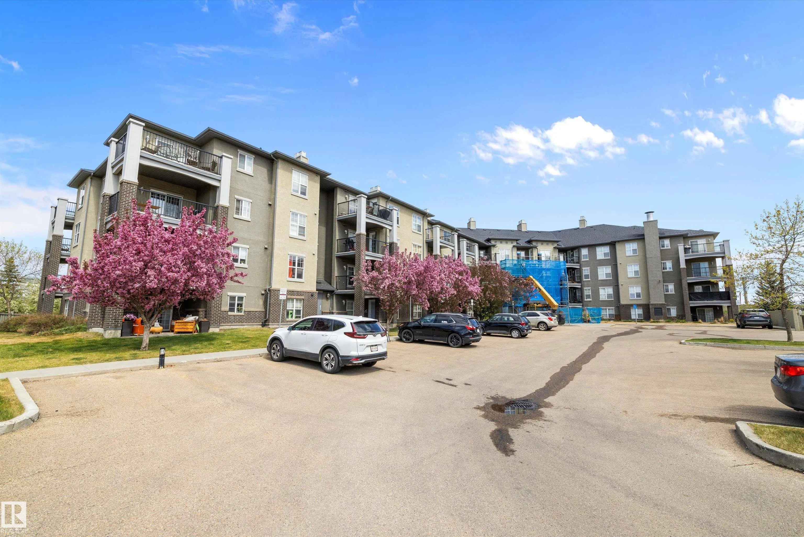 636 MCALLISTER Loop
