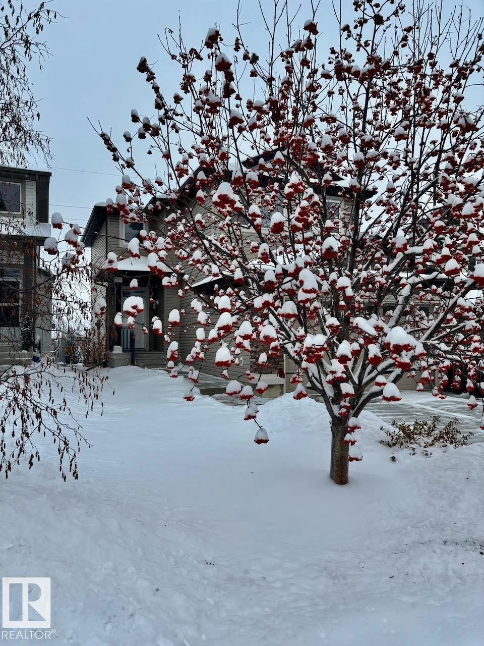 38 CASCADE Crescent