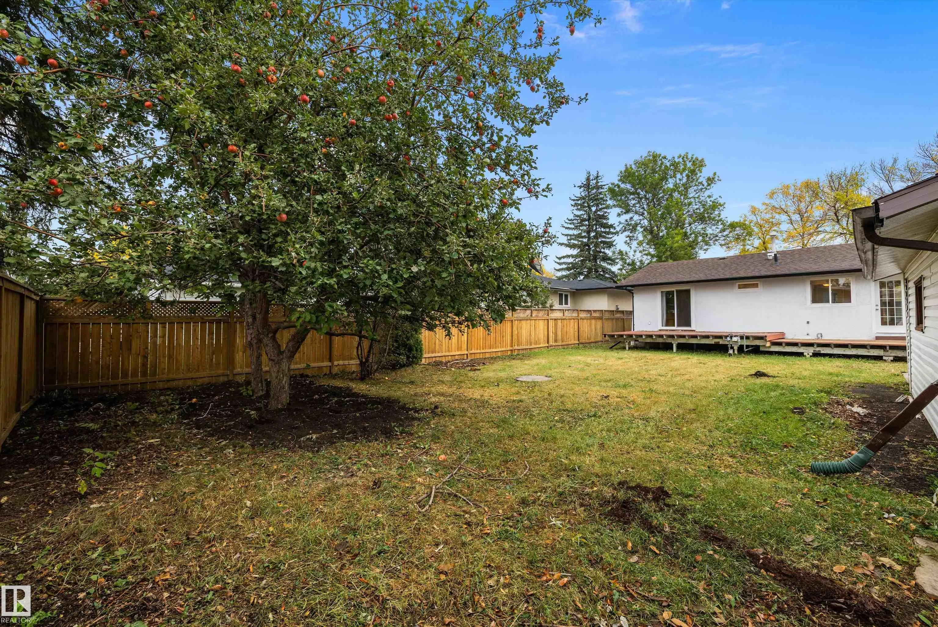 1032 MONY PENNY Crescent