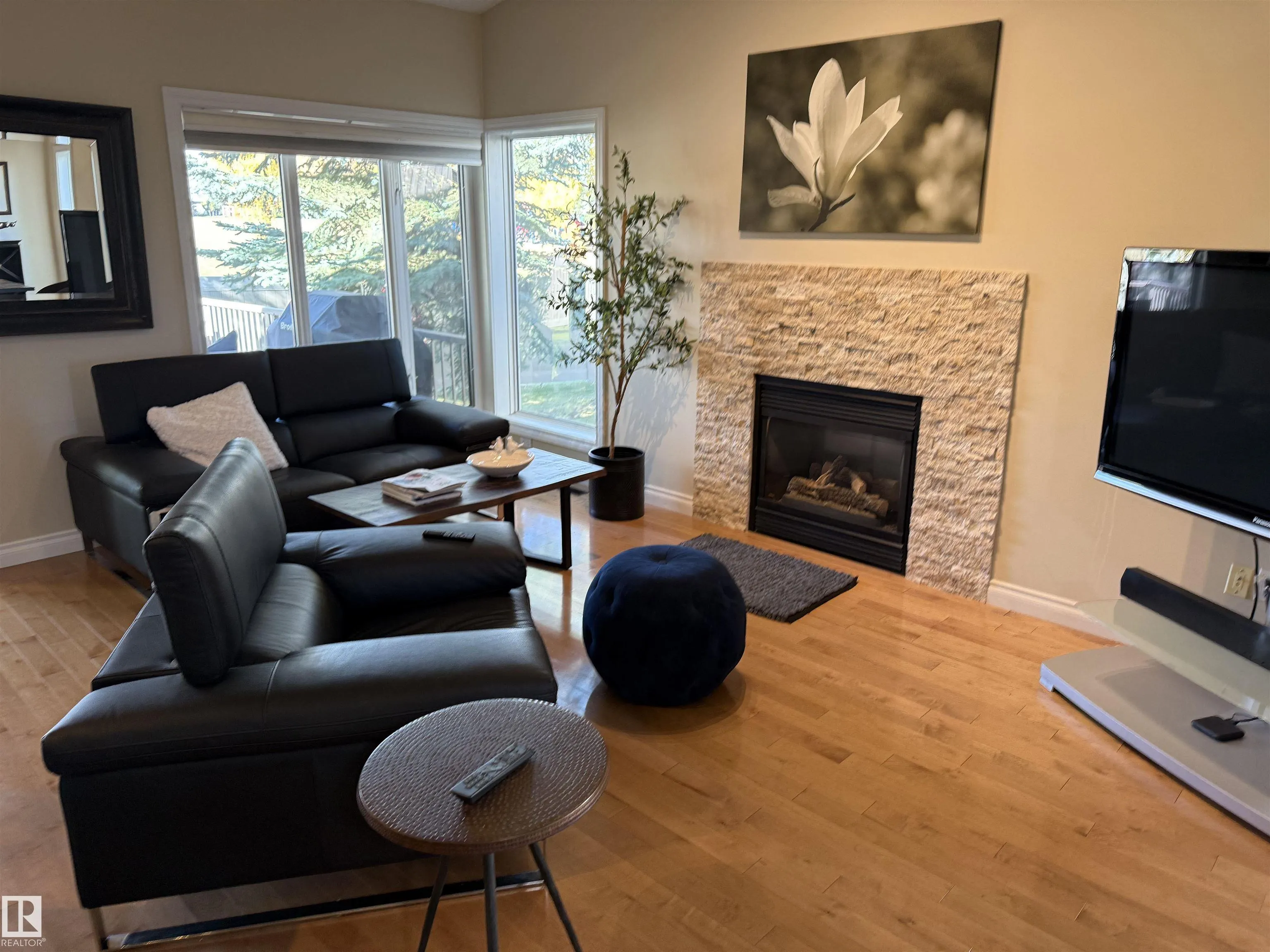 925 PICARD Drive