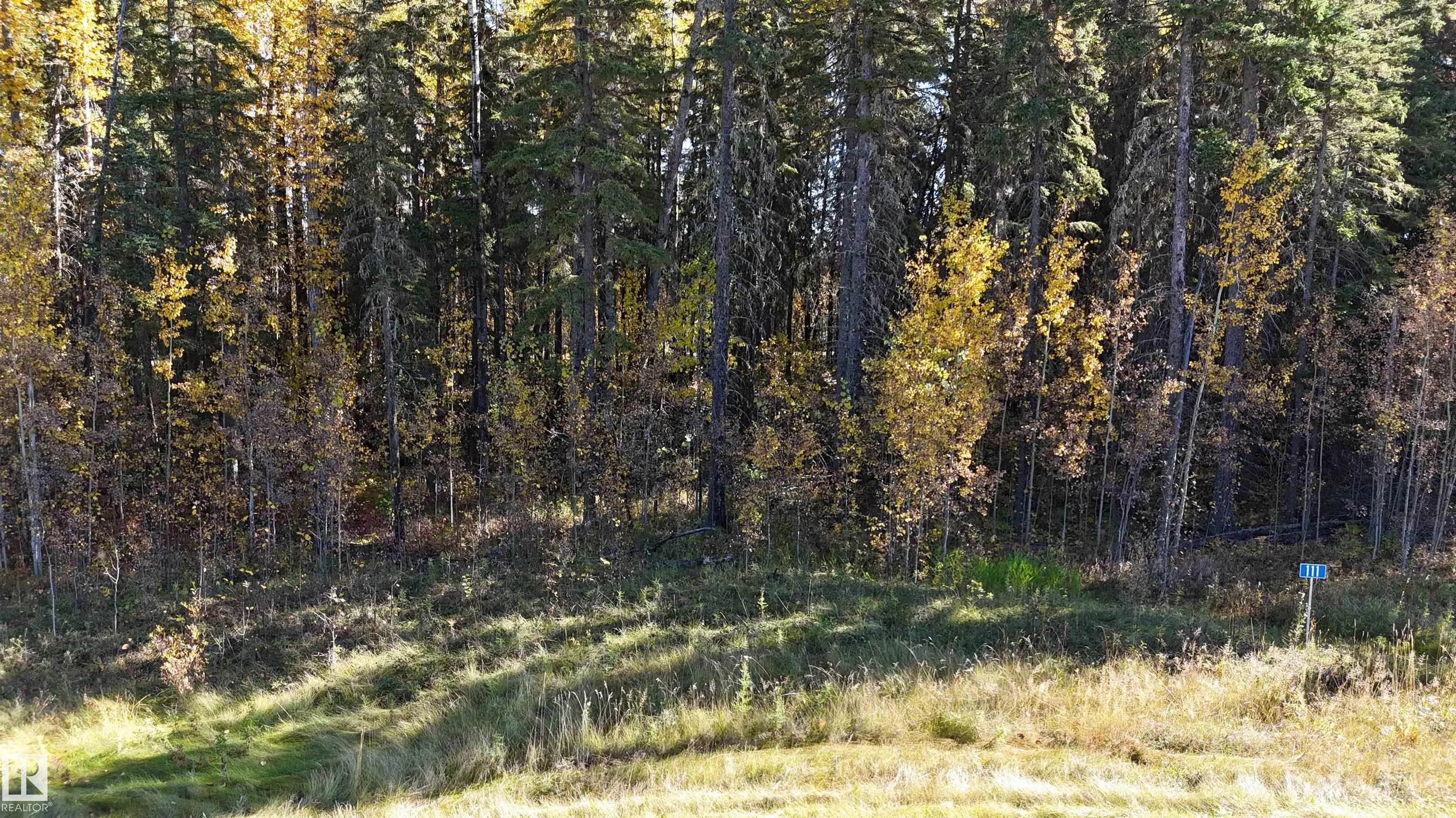#111 49505 RR 80