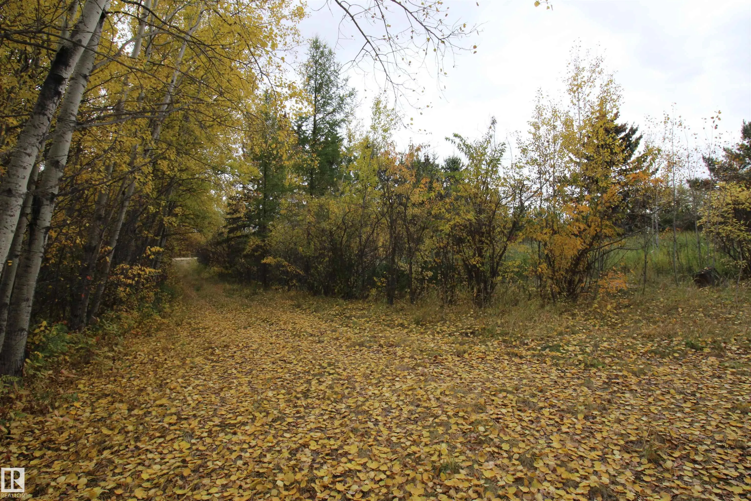 58201 Rge Rd 23