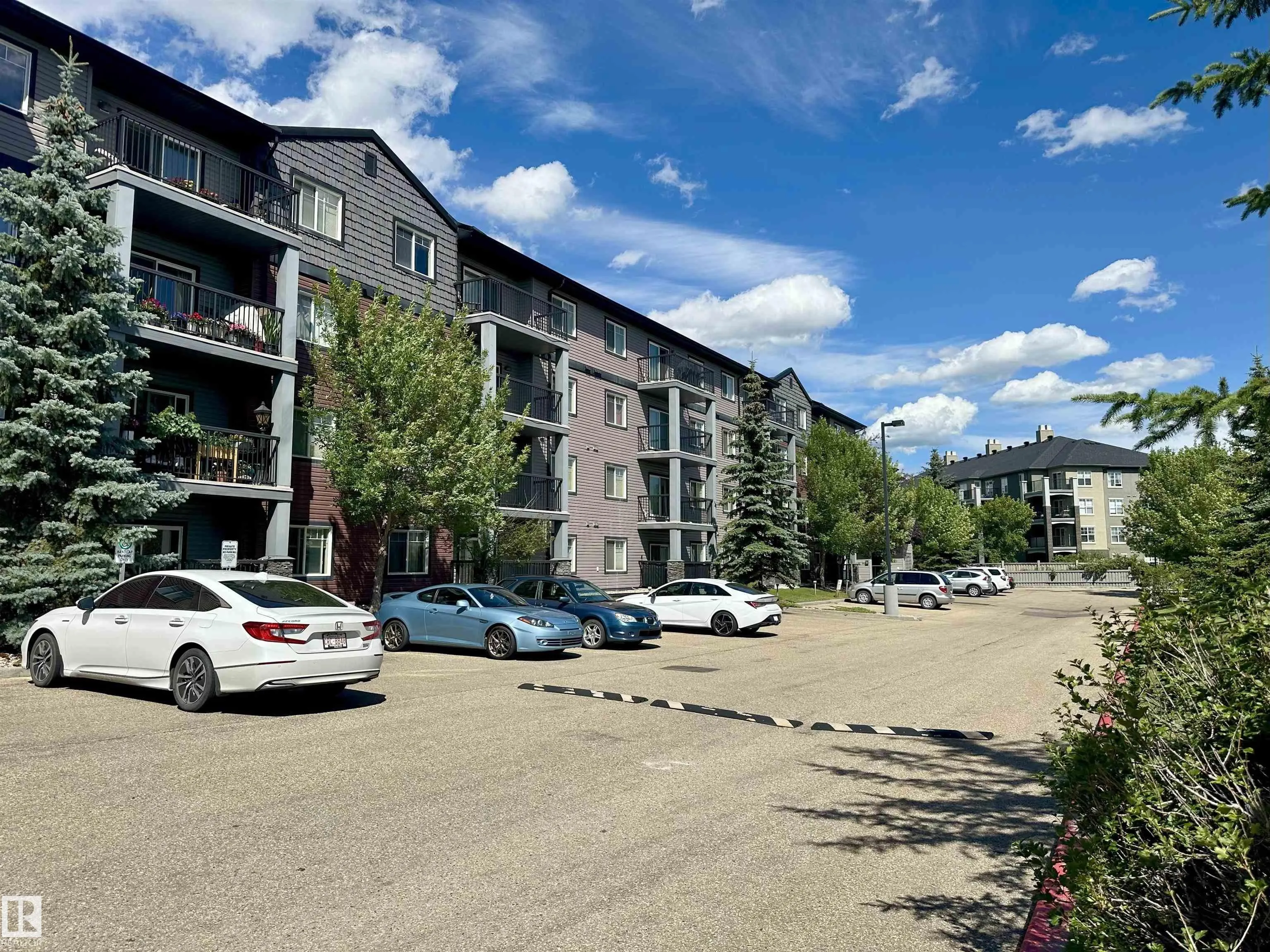 646 MCALLISTER Loop