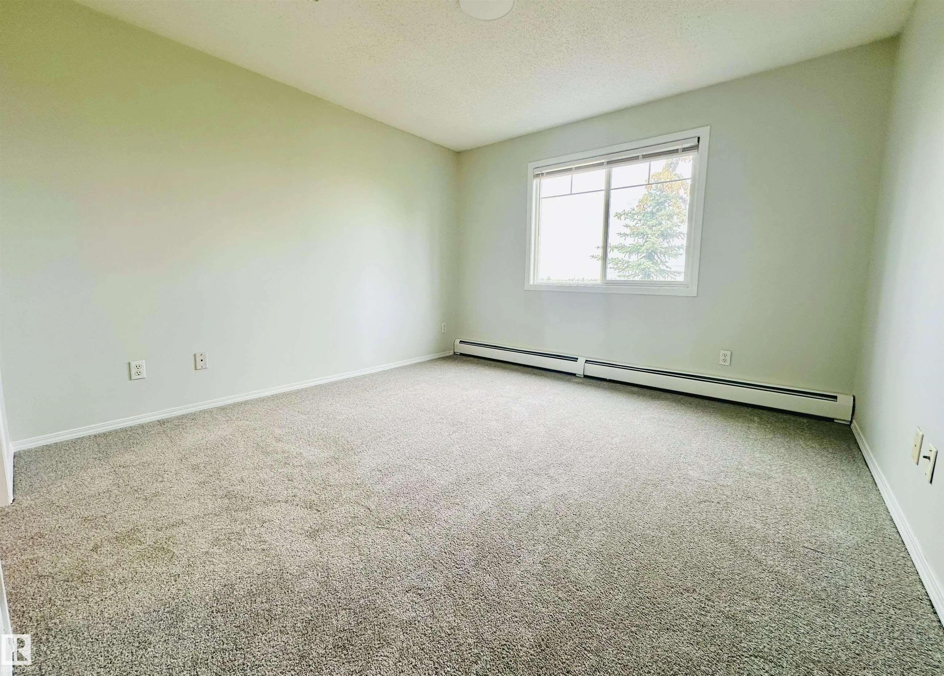 646 MCALLISTER Loop