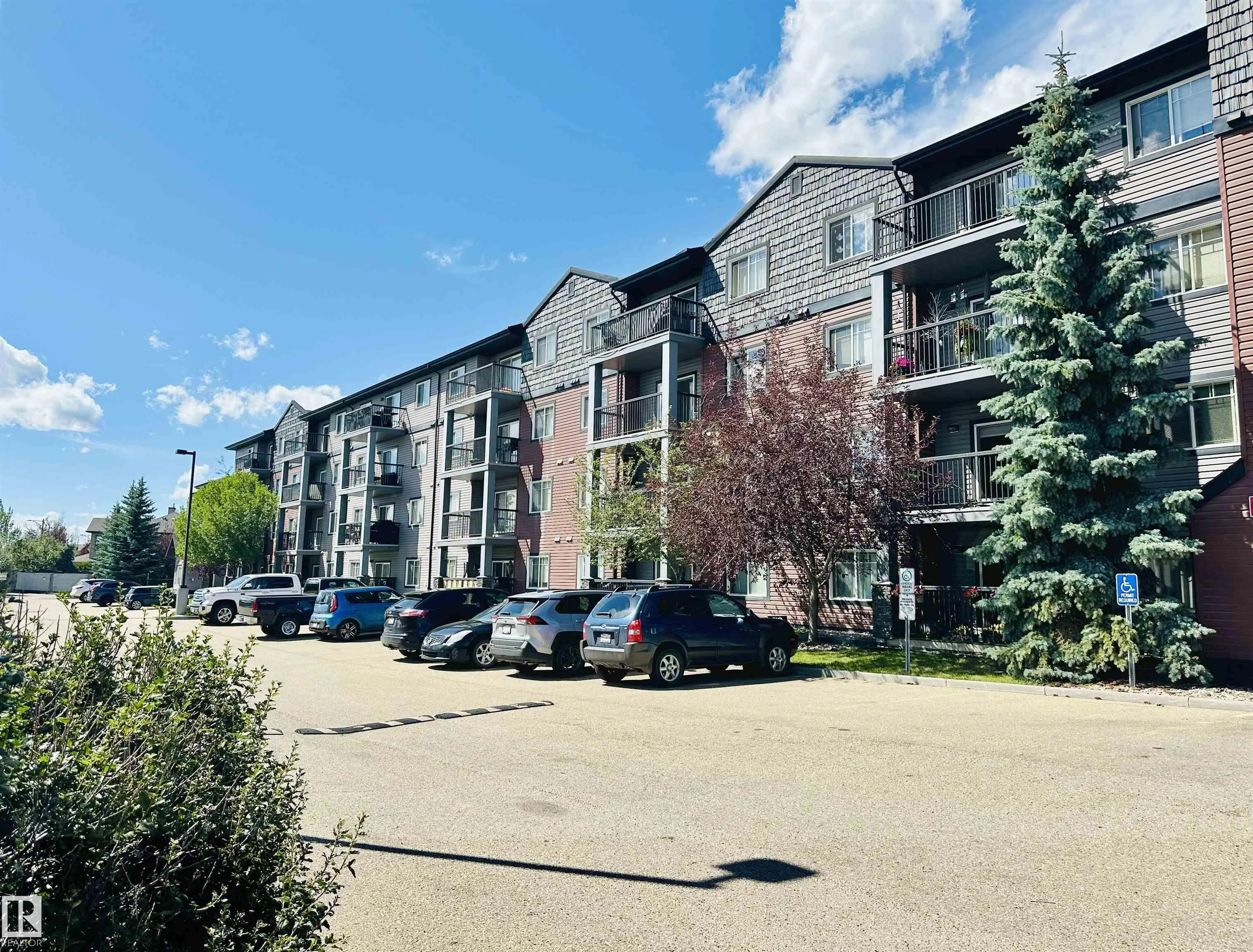 646 MCALLISTER Loop