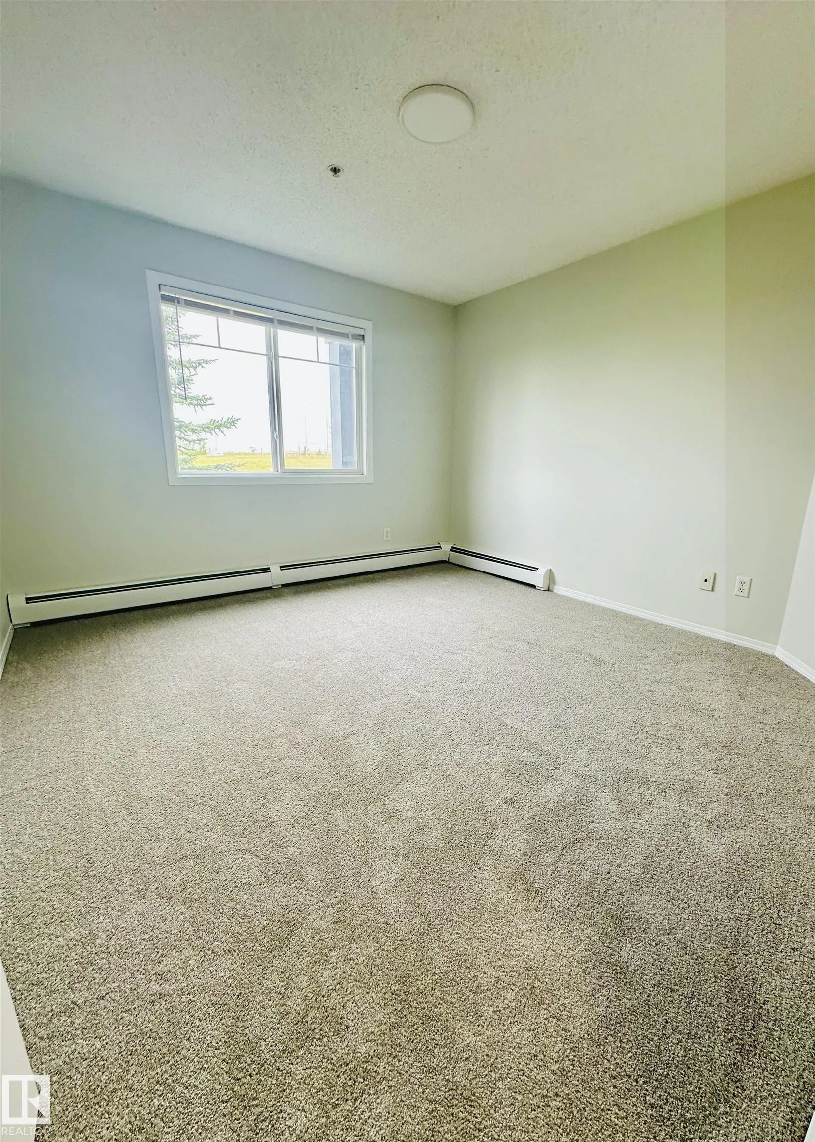 646 MCALLISTER Loop
