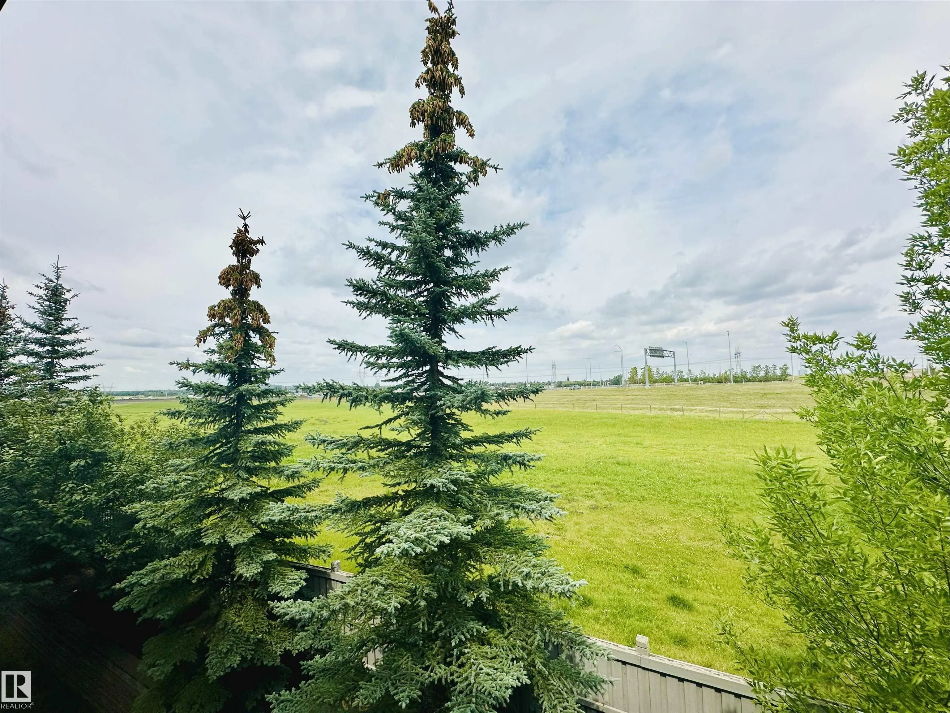 646 MCALLISTER Loop