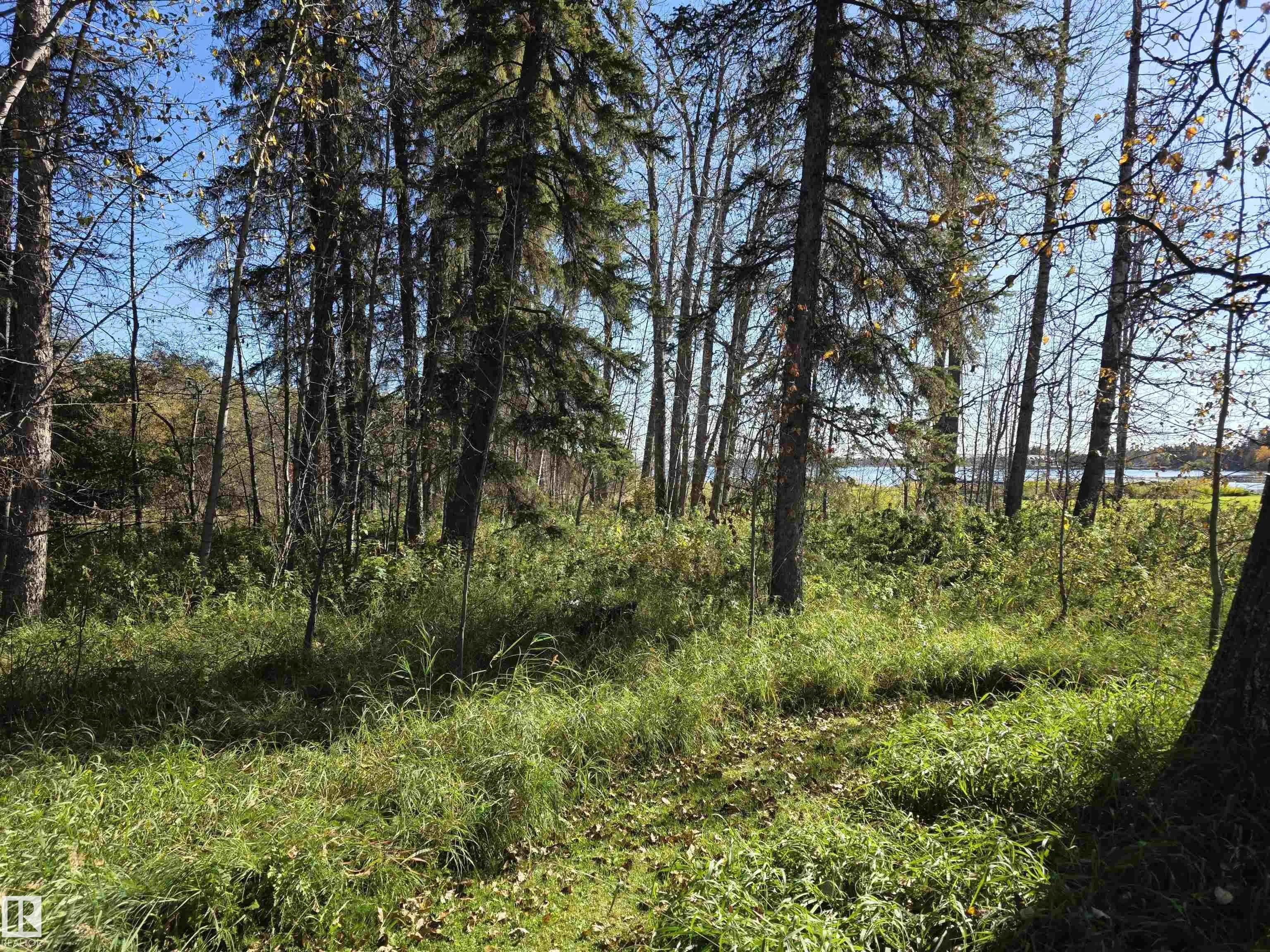 27 62045 Twp Rd 462