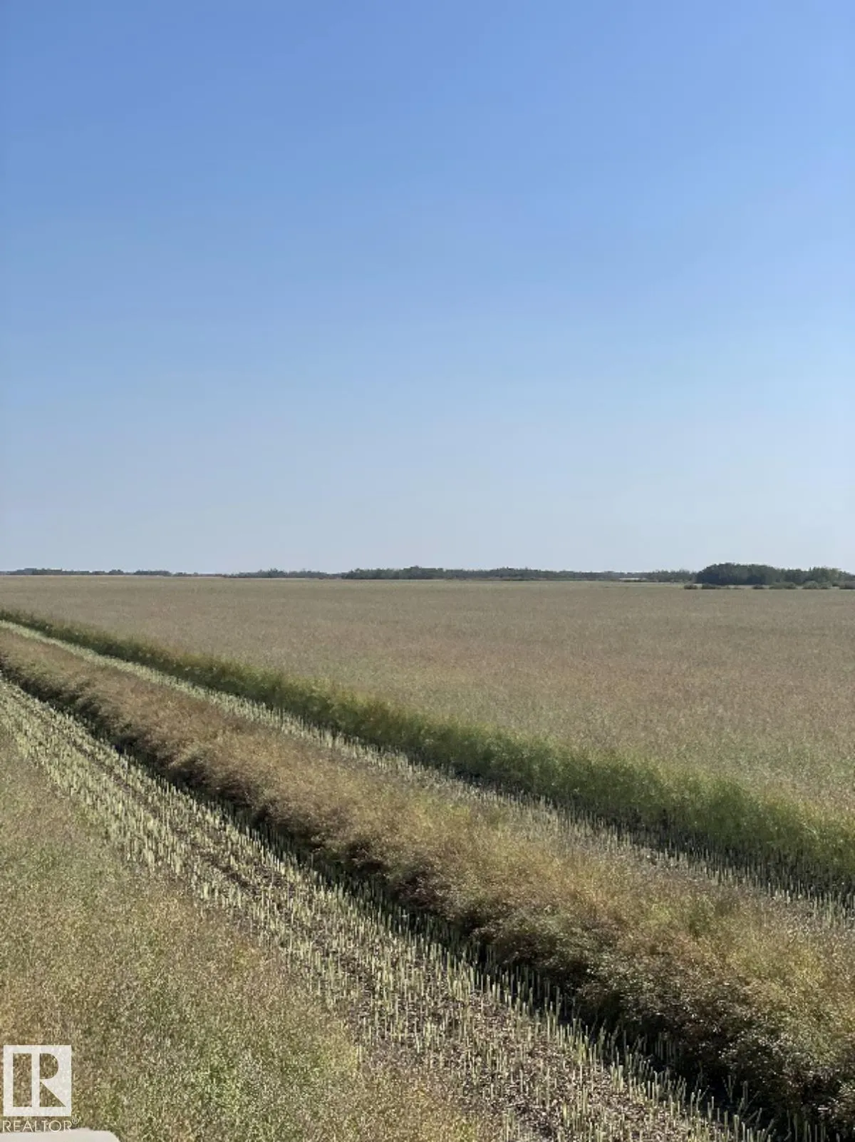 RR 173 & TWP RD 514