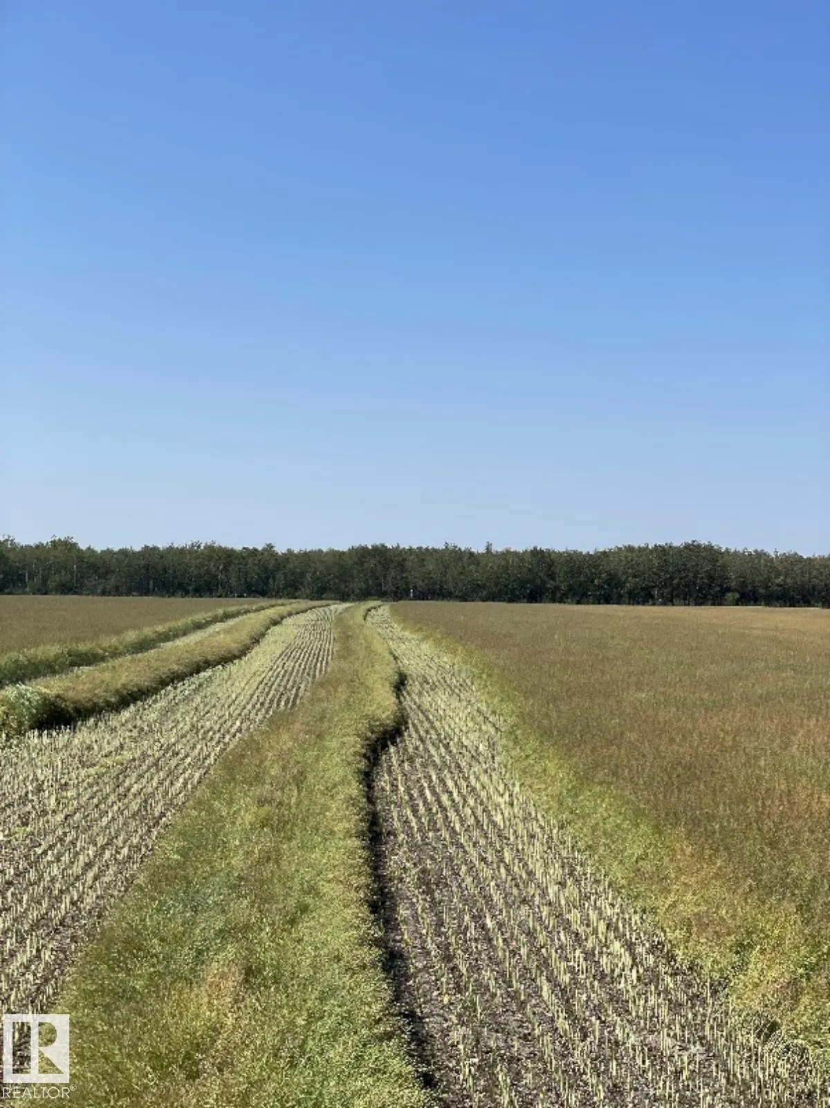 RR 173 & TWP RD 514