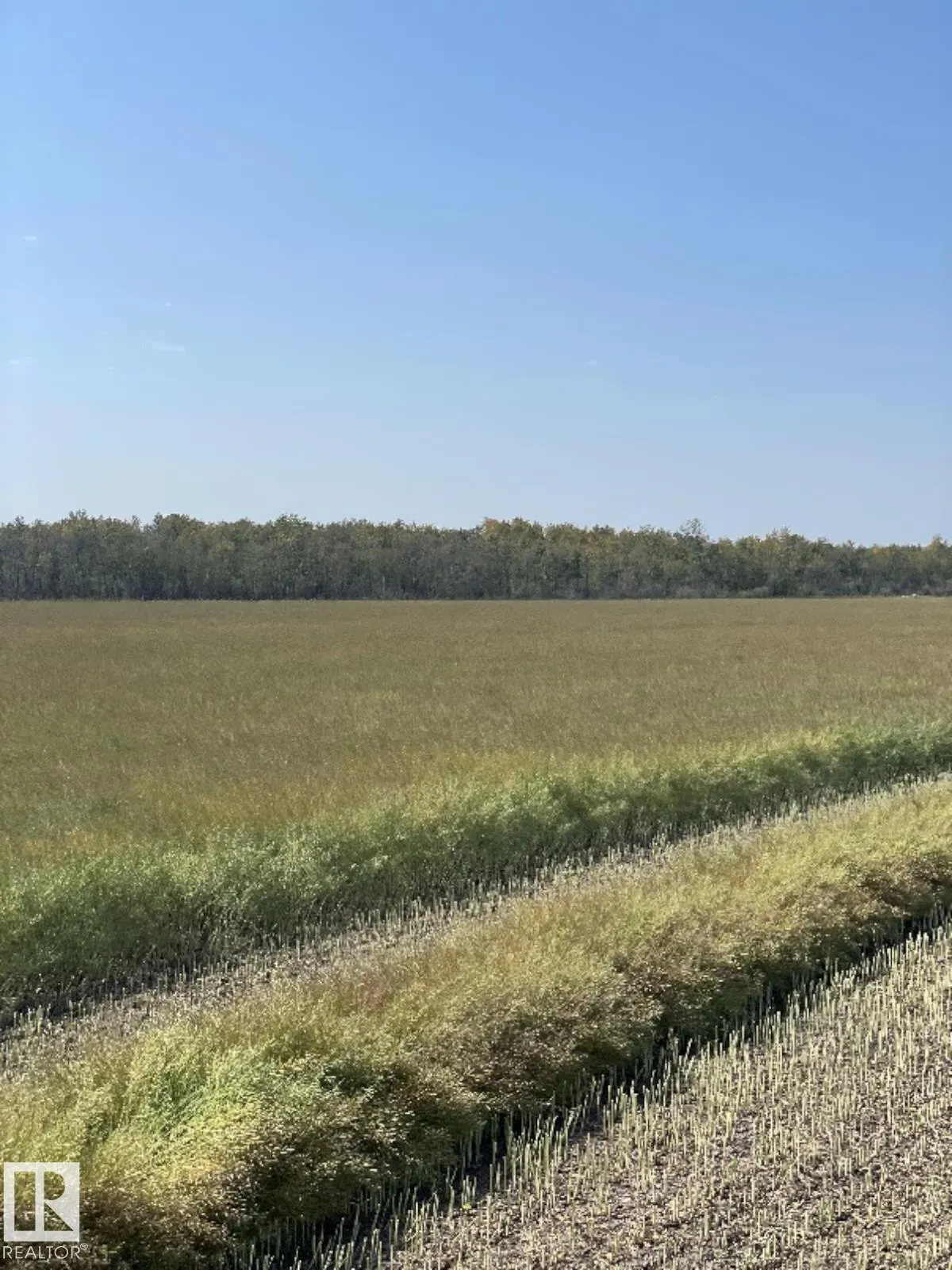 RR 173 & TWP RD 514