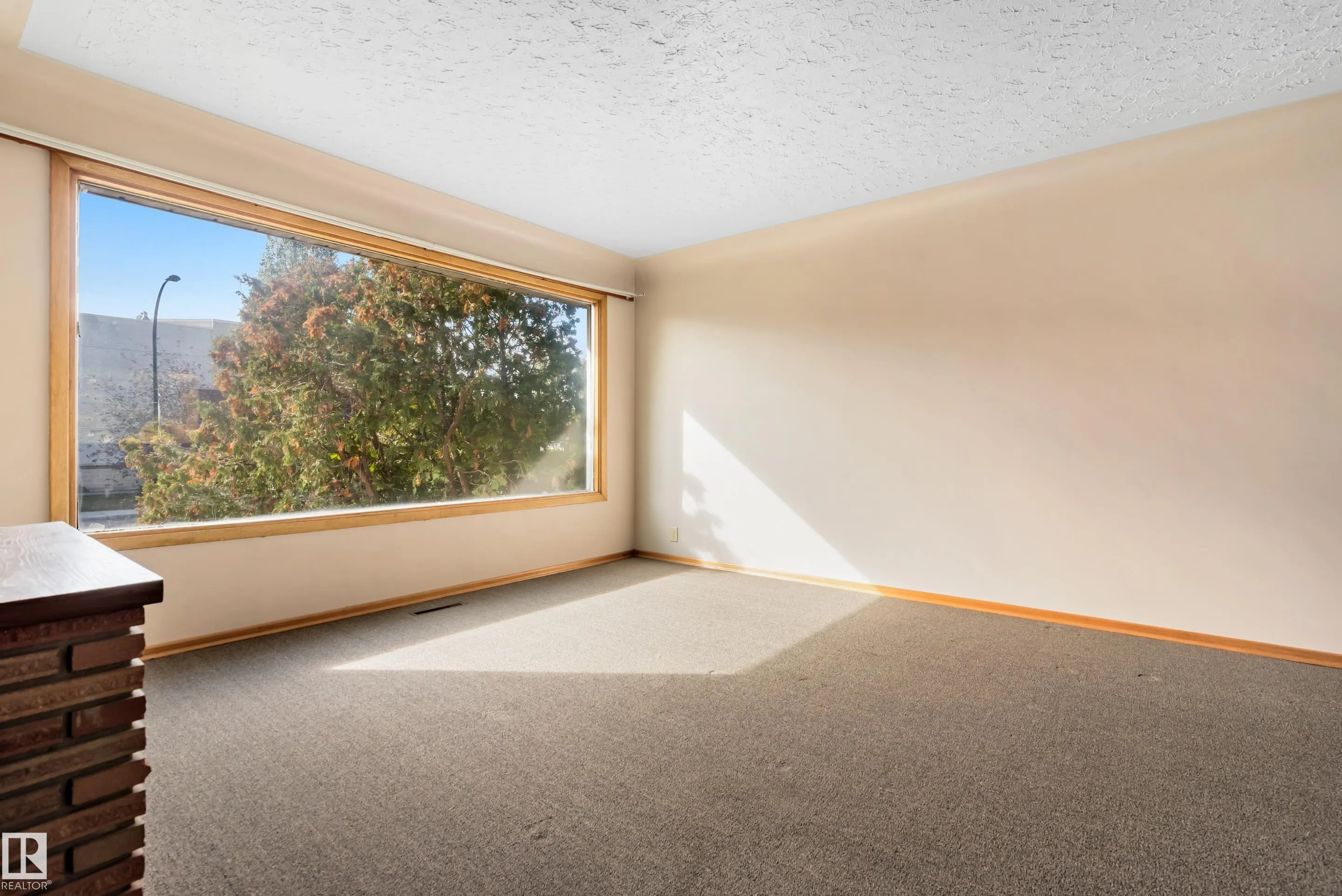 8736 66 Avenue