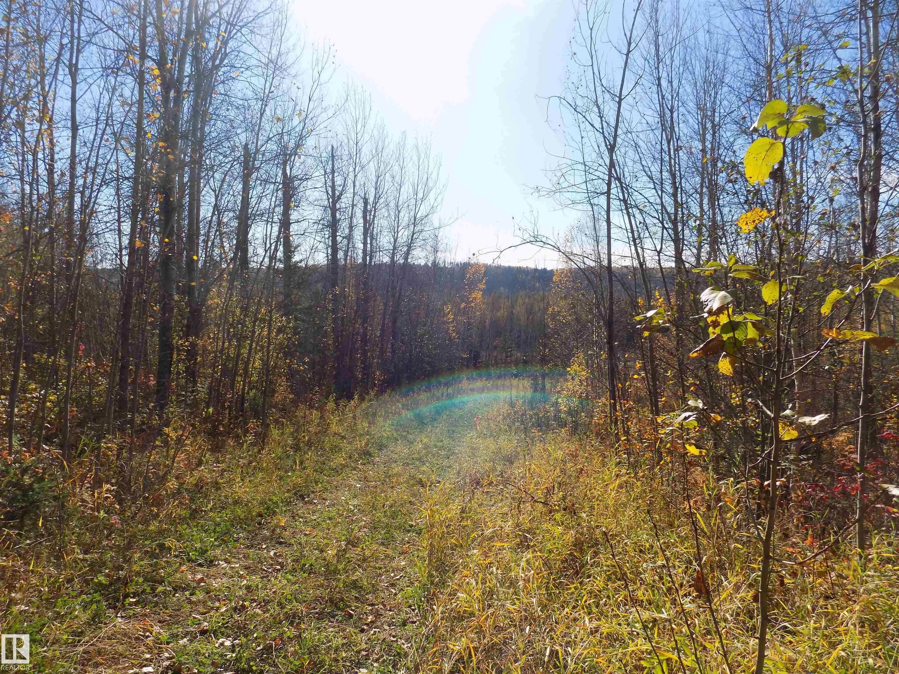 TWP 463A RD