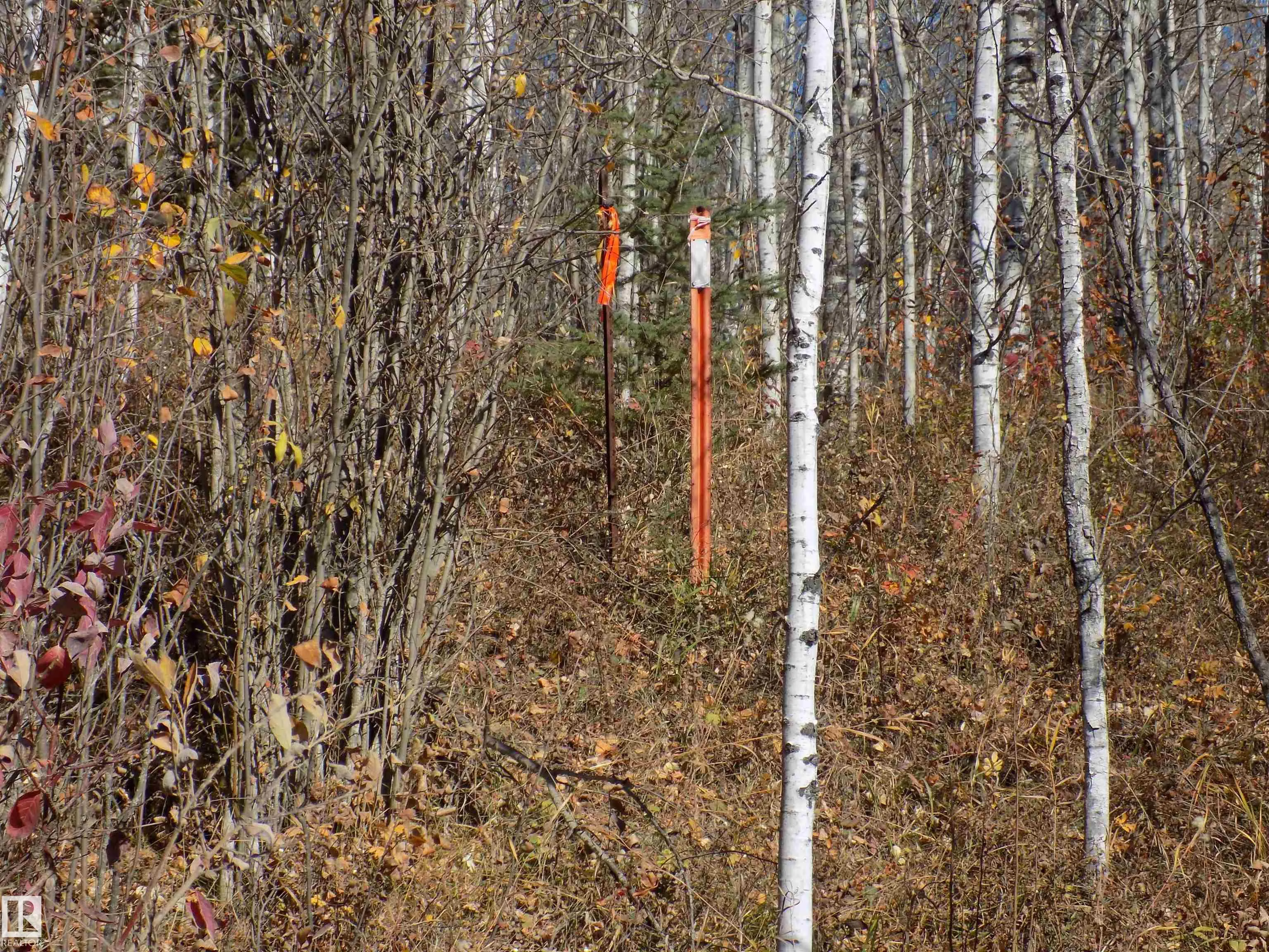 TWP 463A RD