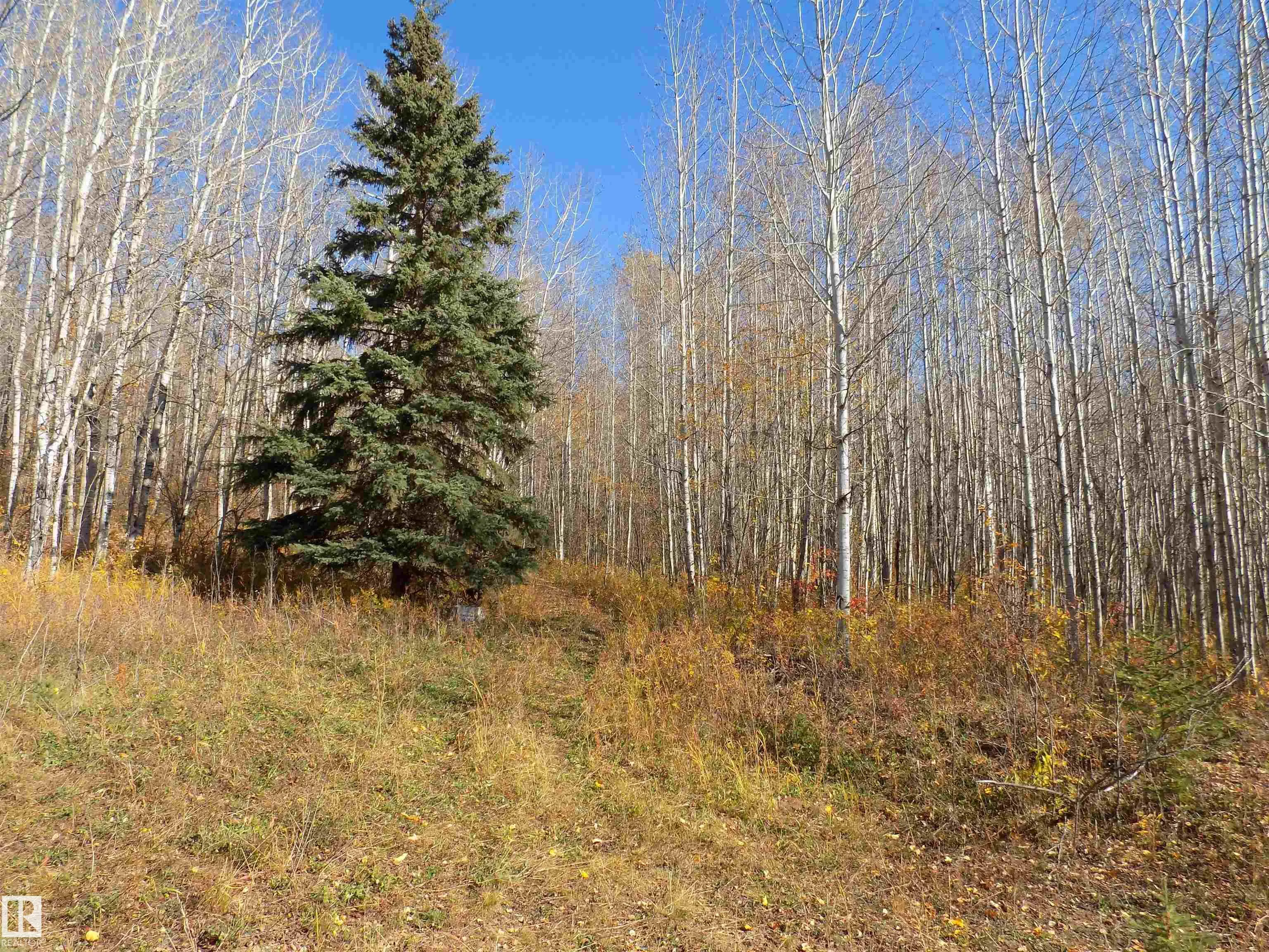 TWP 463A RD