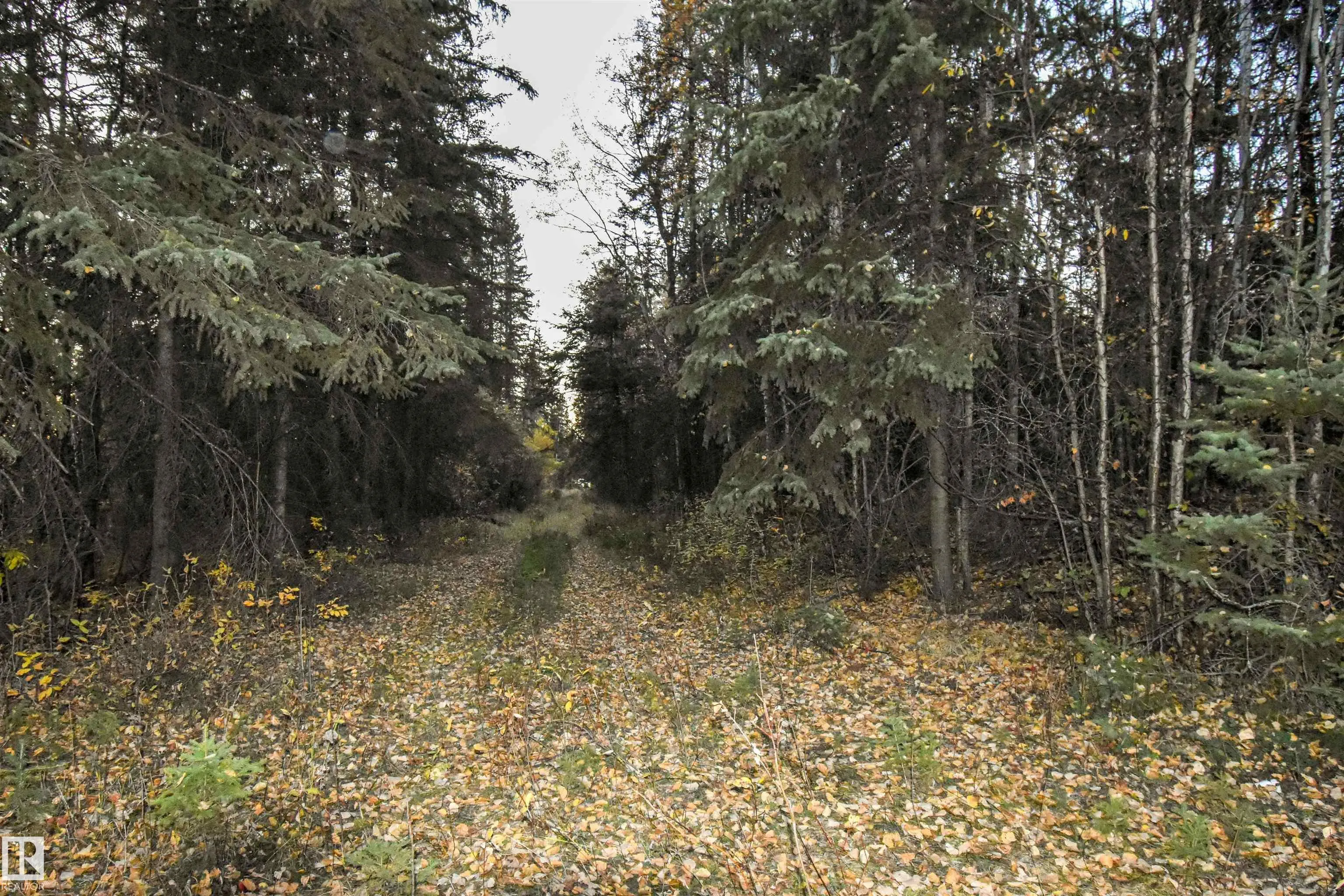 Twp Rd 625 and Hwy 63