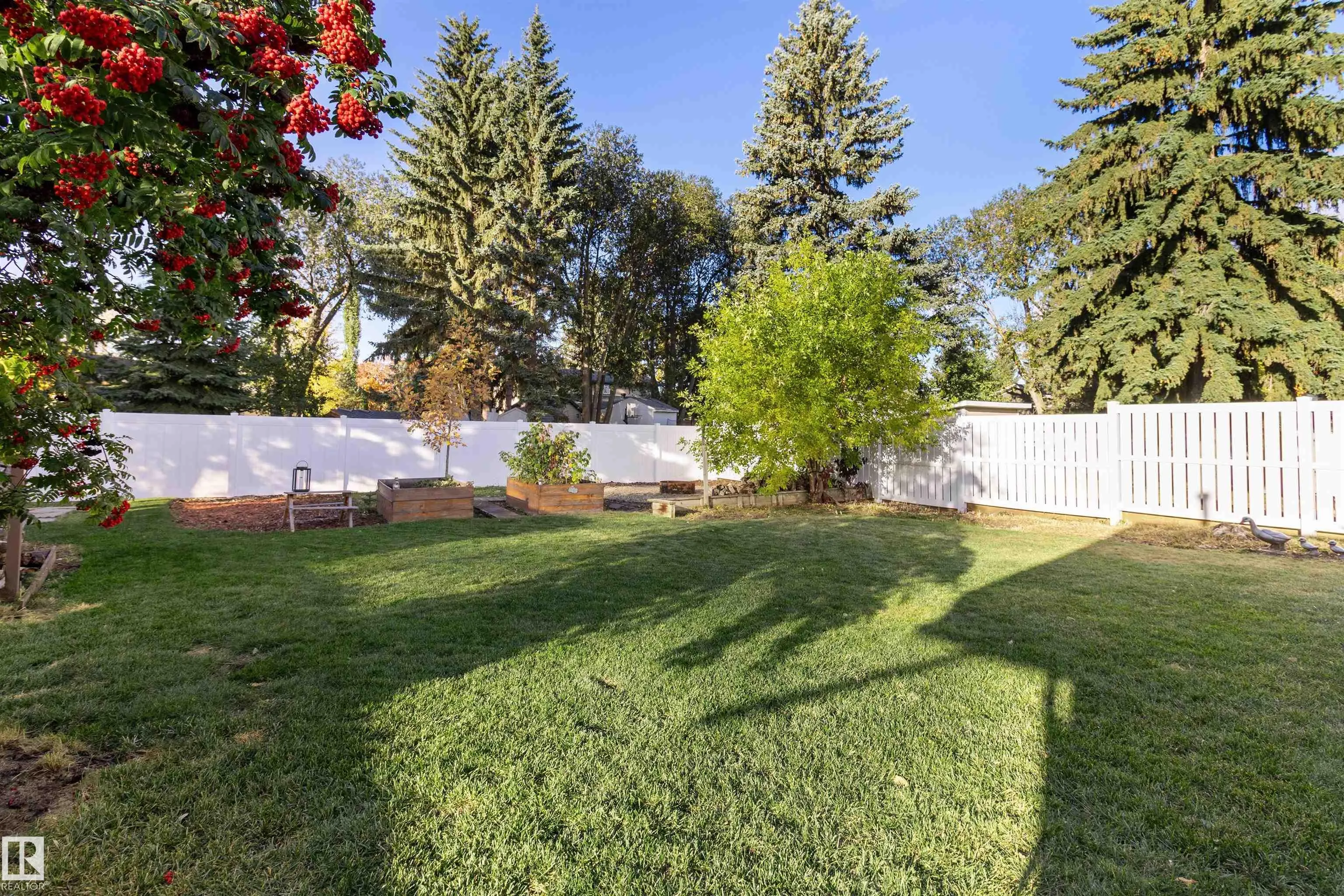 31 Curlew Crescent