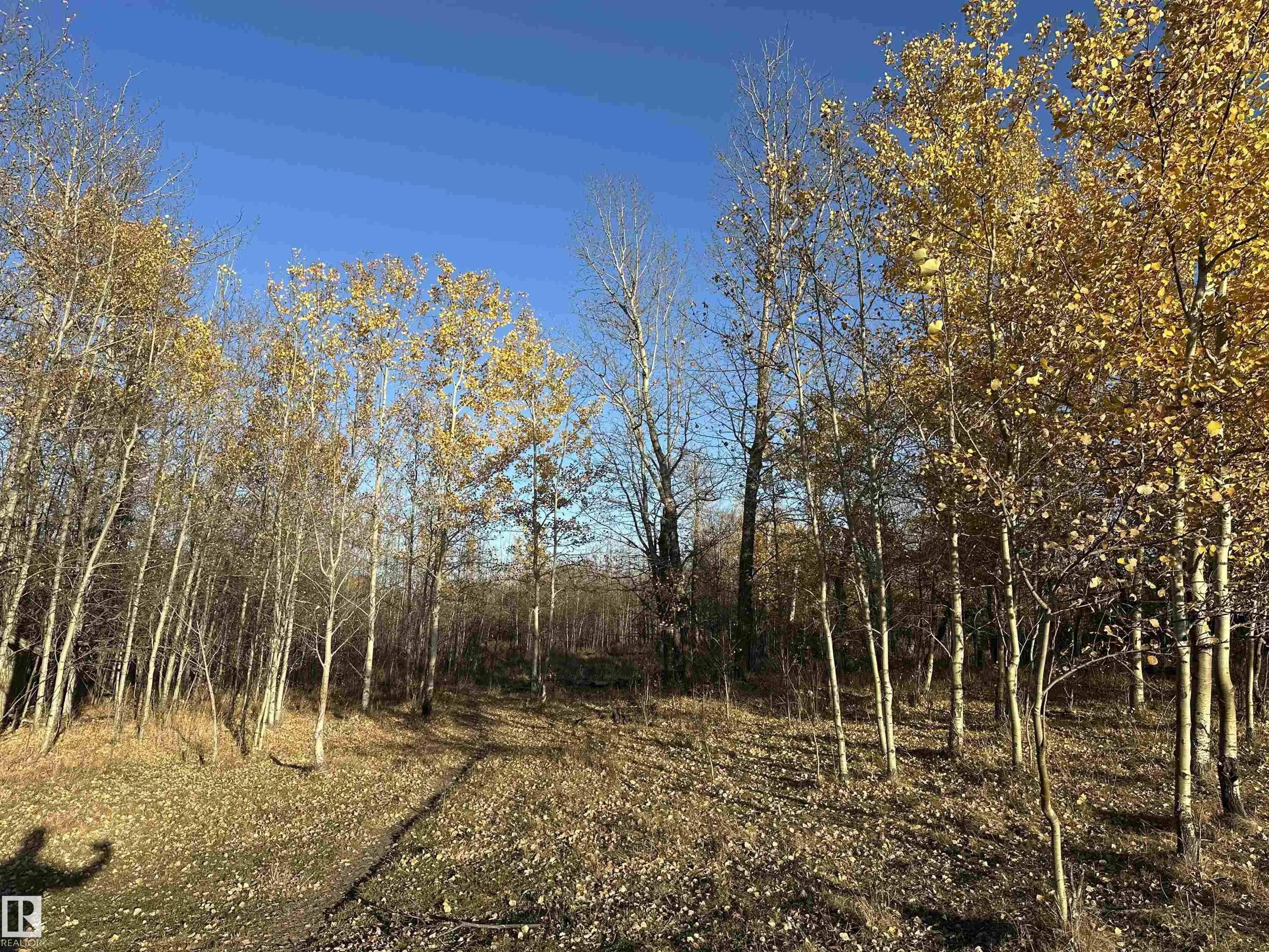 Twp. Road 544 & Range Road 204