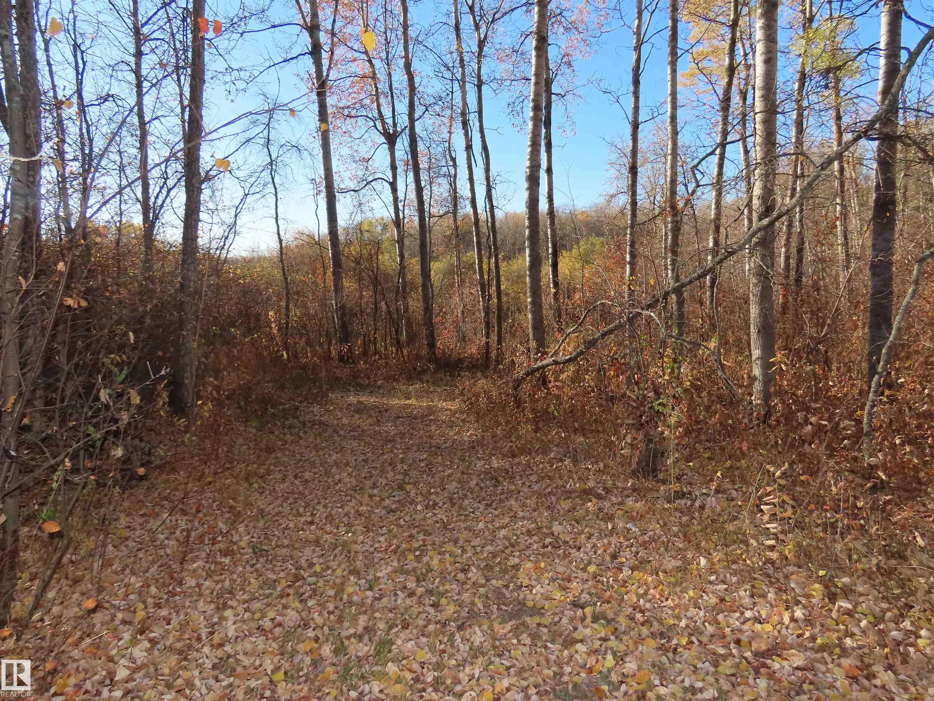 54425 Ste Anne Trail