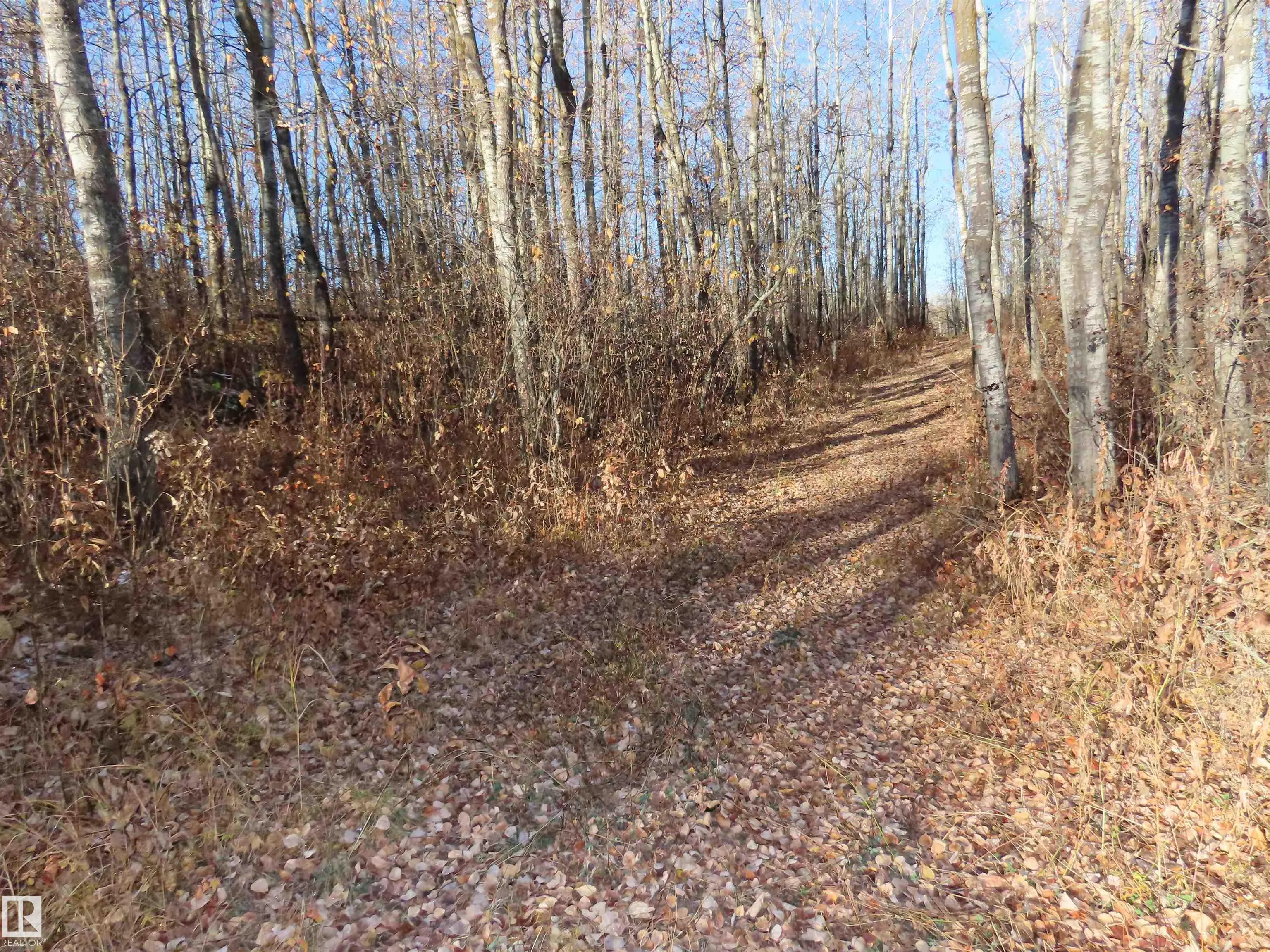 54425 Ste Anne Trail
