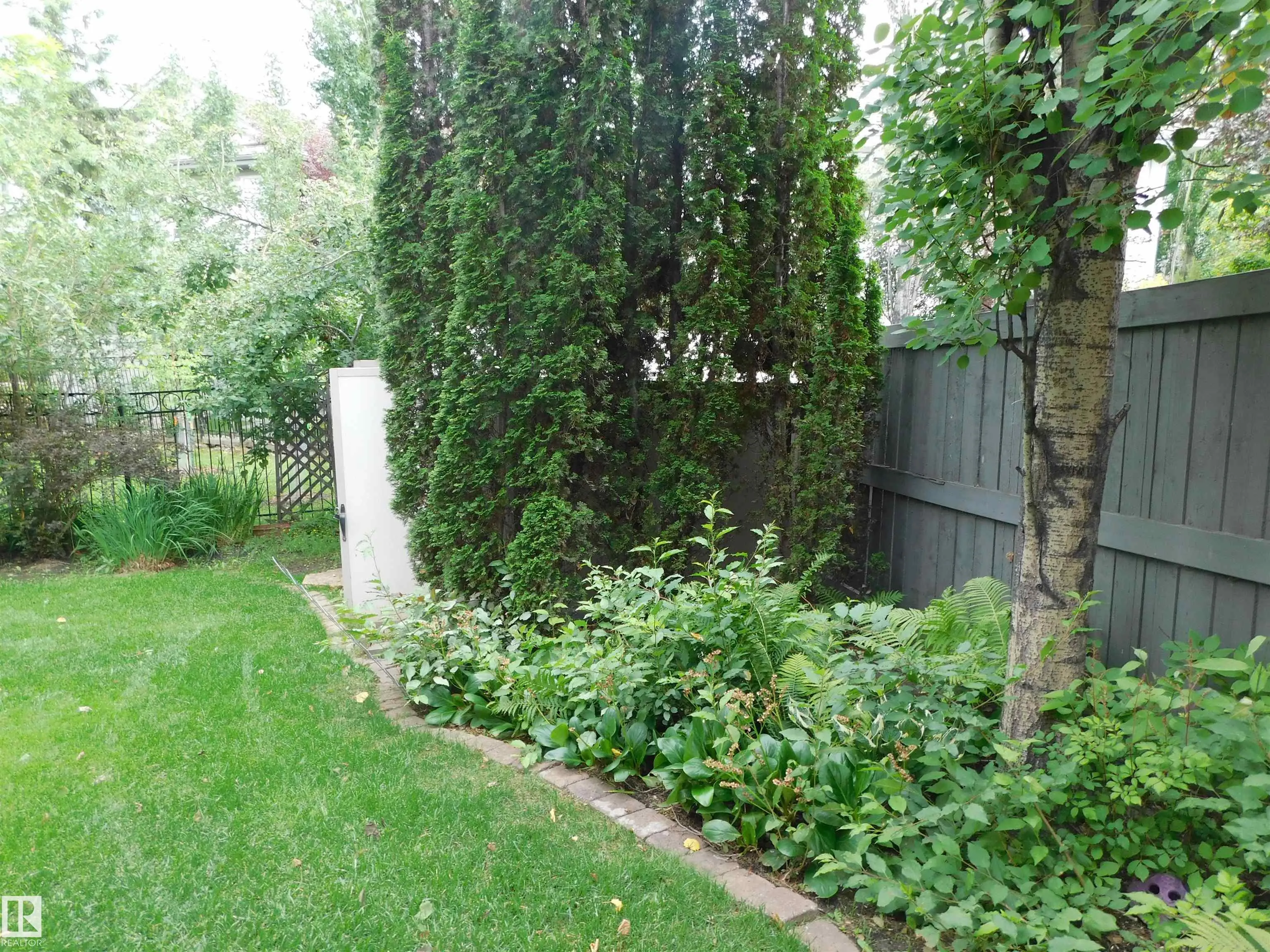 617 DALHOUSIE Crescent
