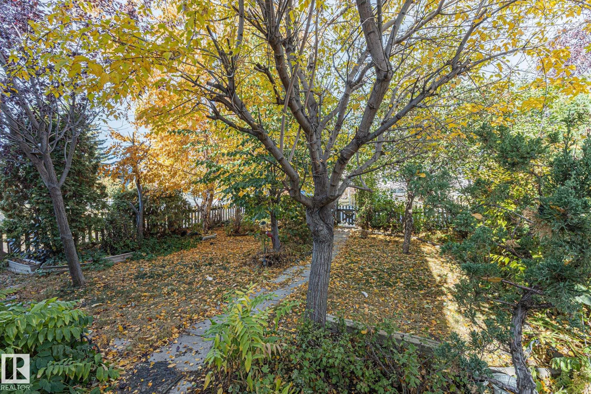 9325 110 Avenue
