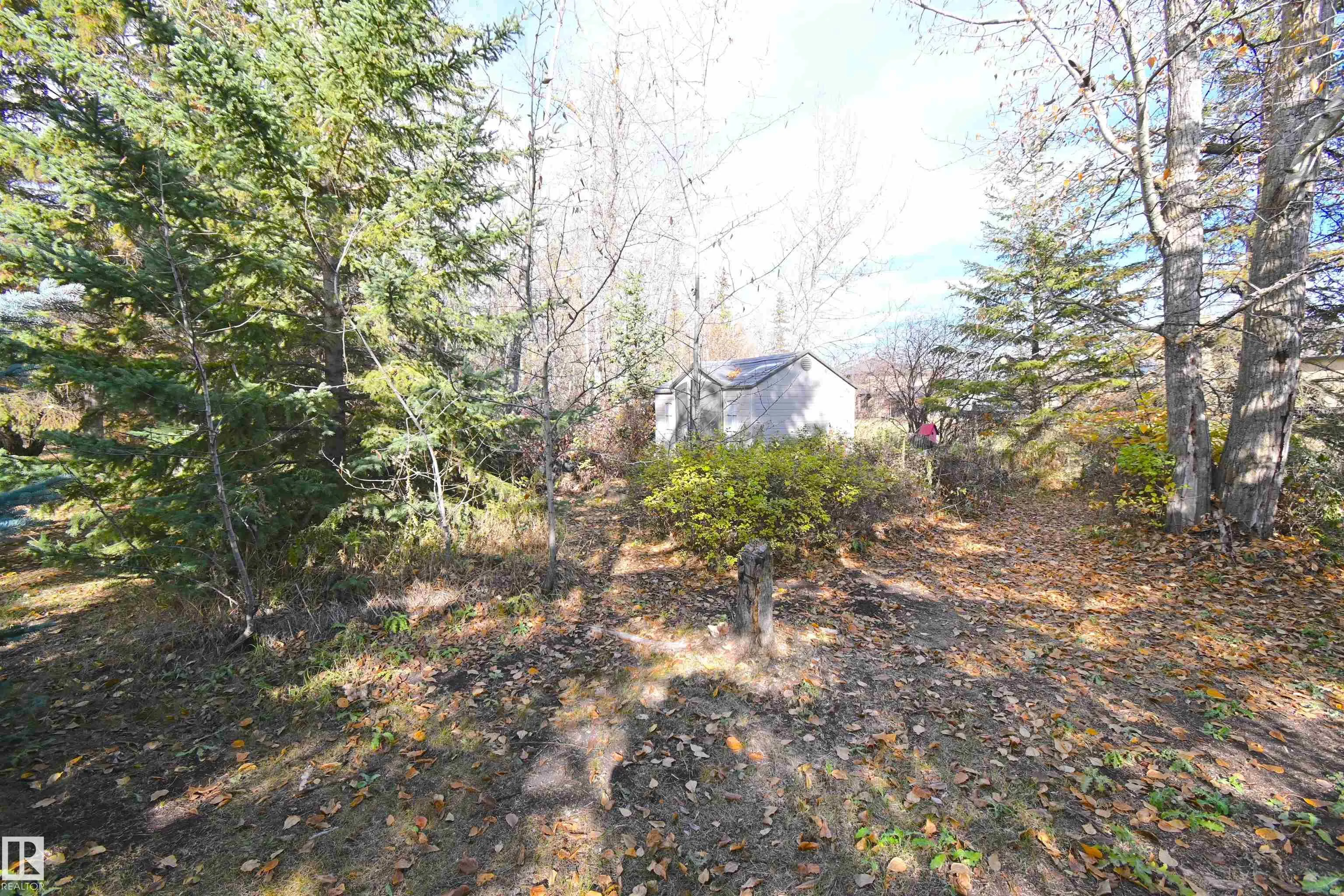53305 RGE ROAD 273
