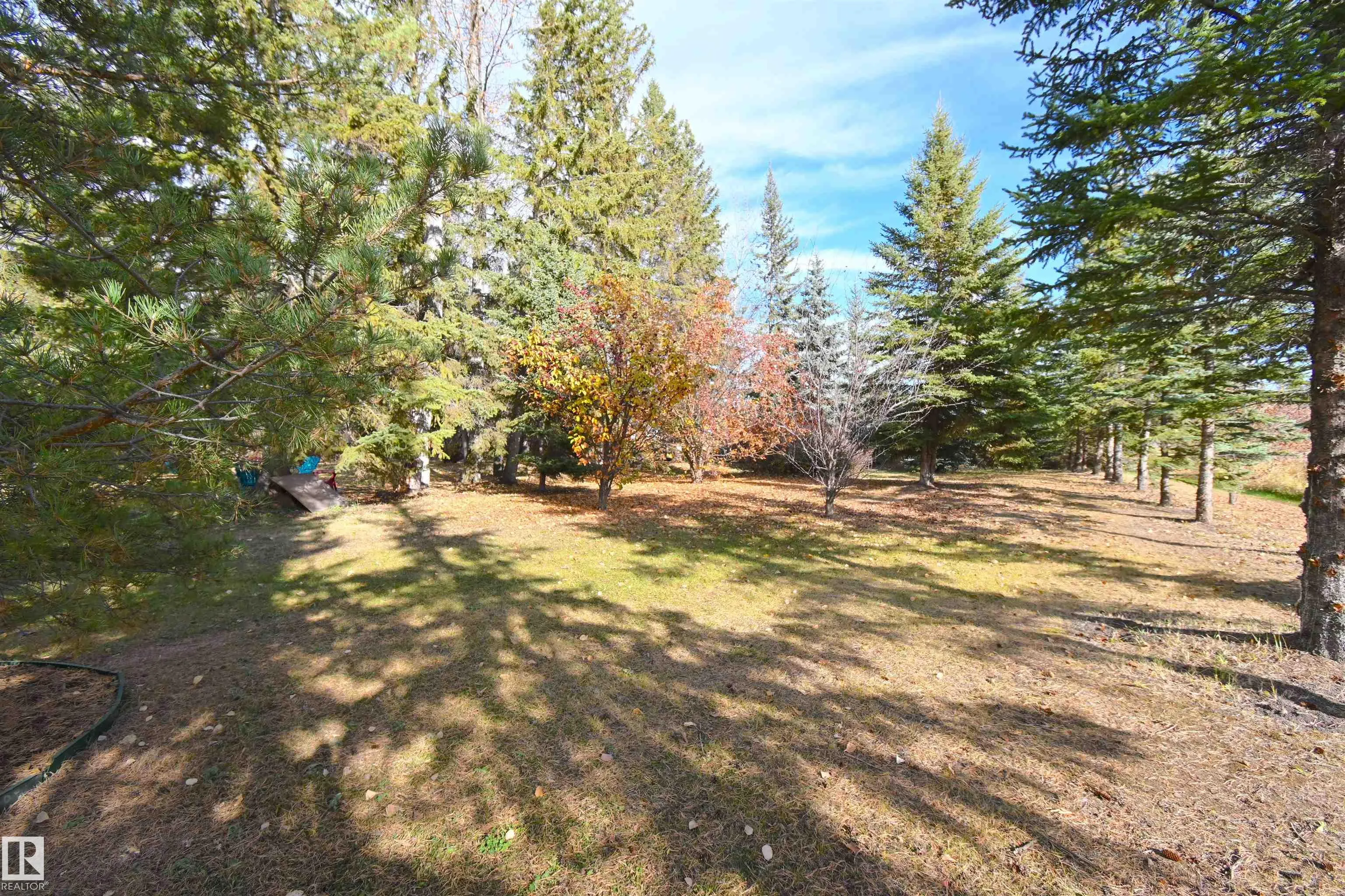 53305 RGE ROAD 273