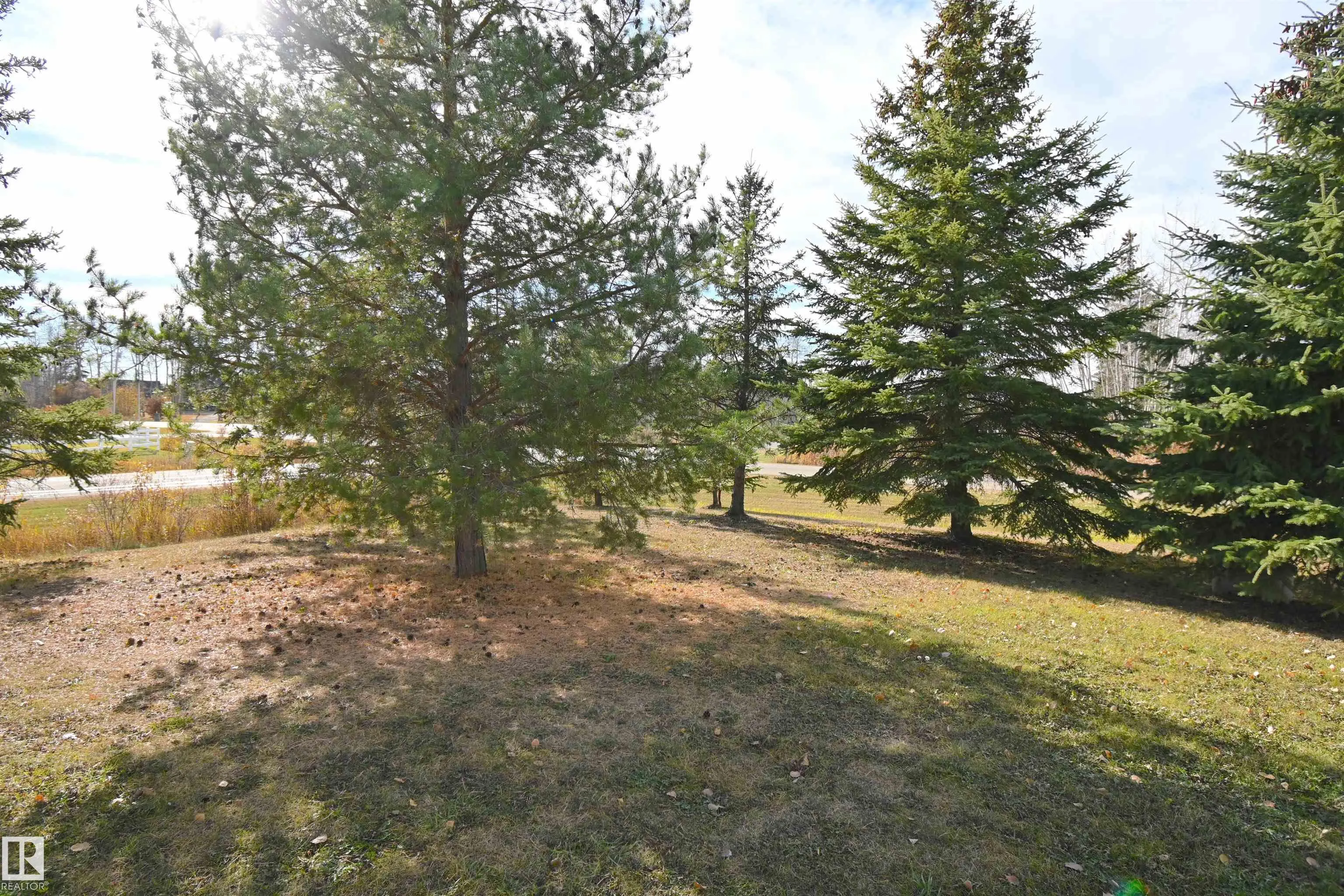 53305 RGE ROAD 273