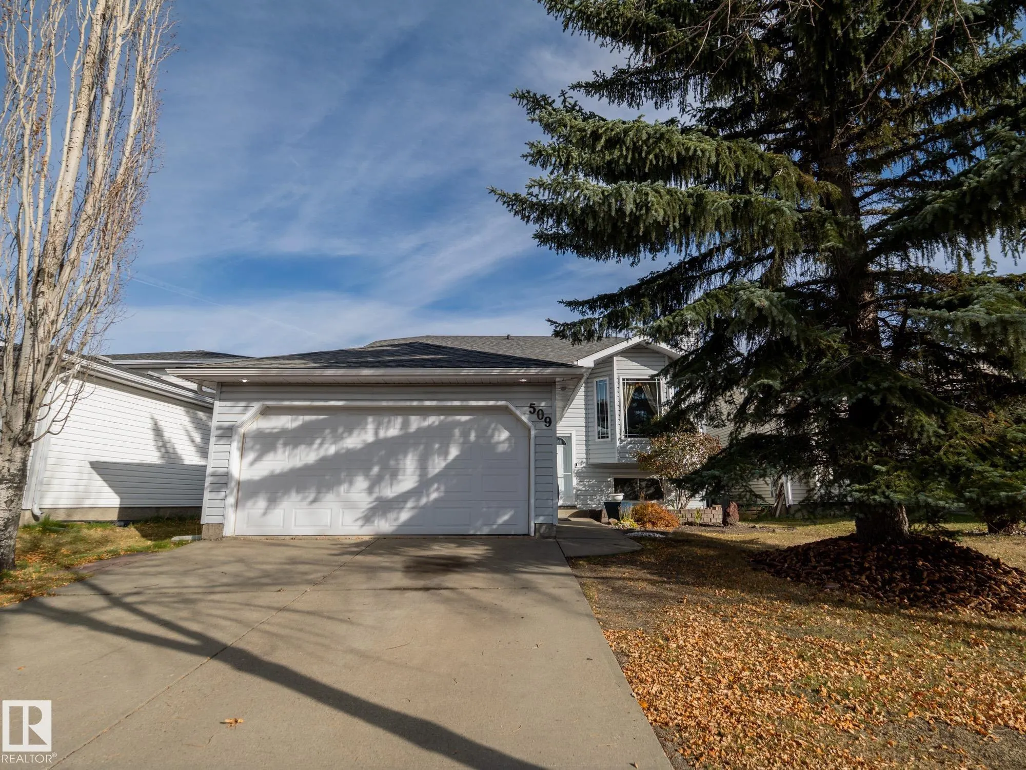 509 RAINBOW Crescent