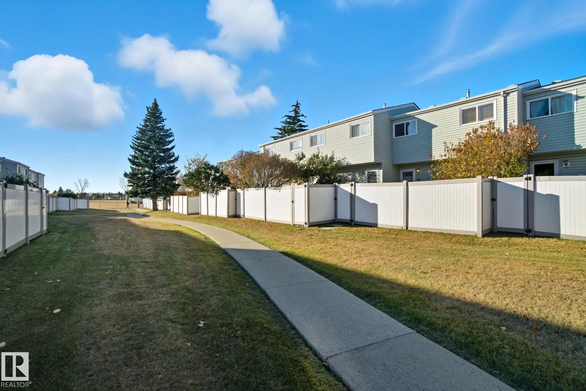 223 DICKINSFIELD Court