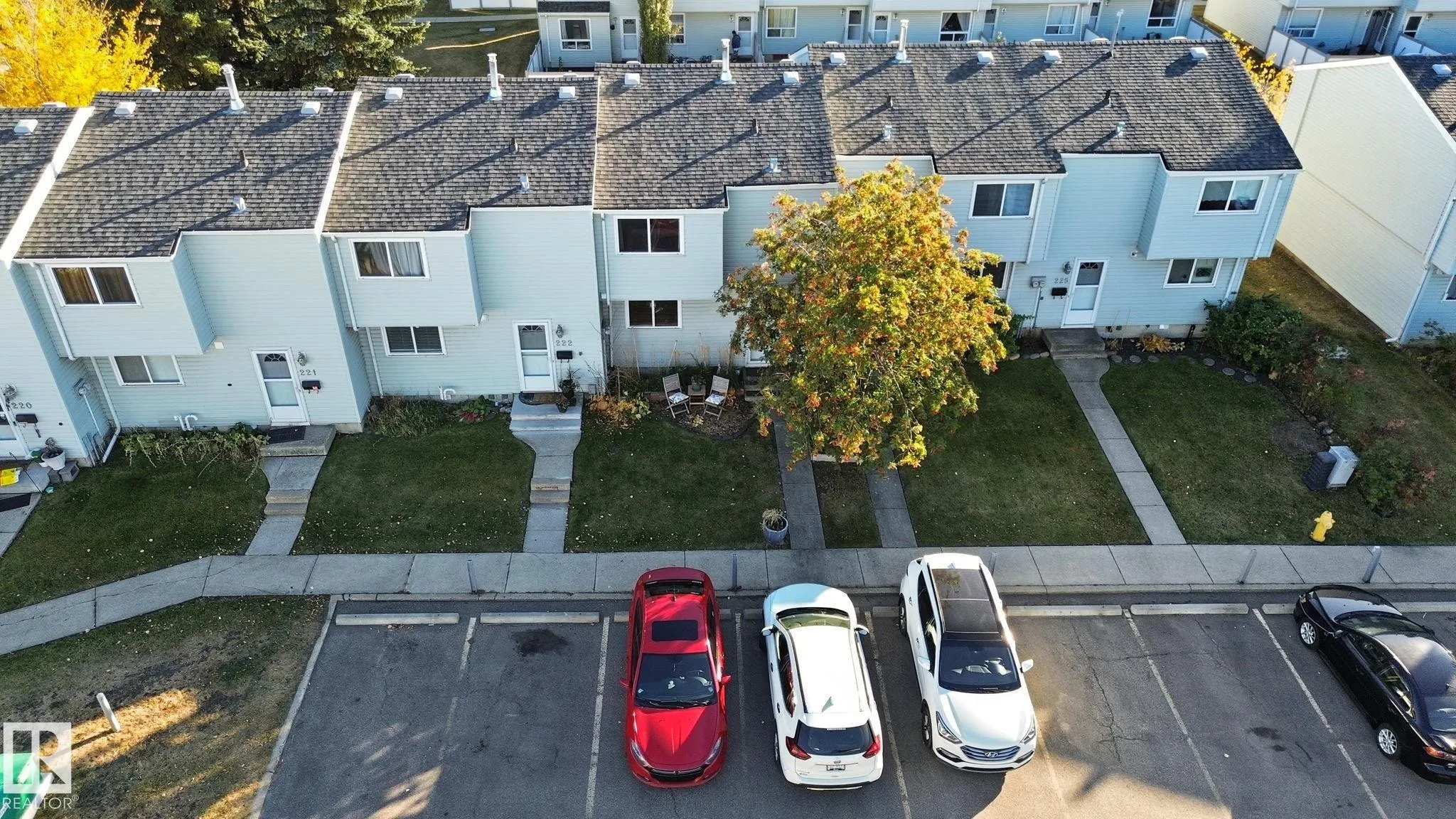 223 DICKINSFIELD Court