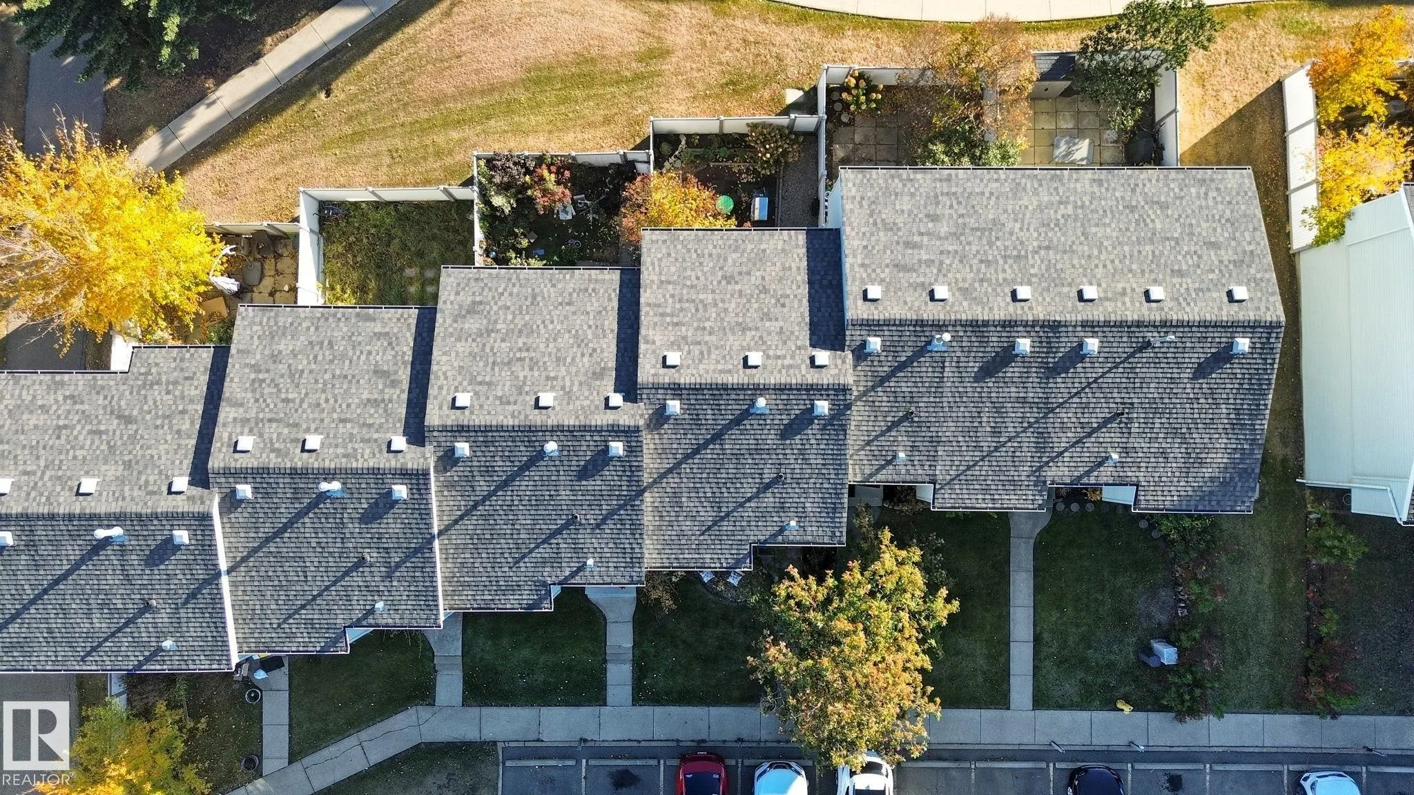 223 DICKINSFIELD Court