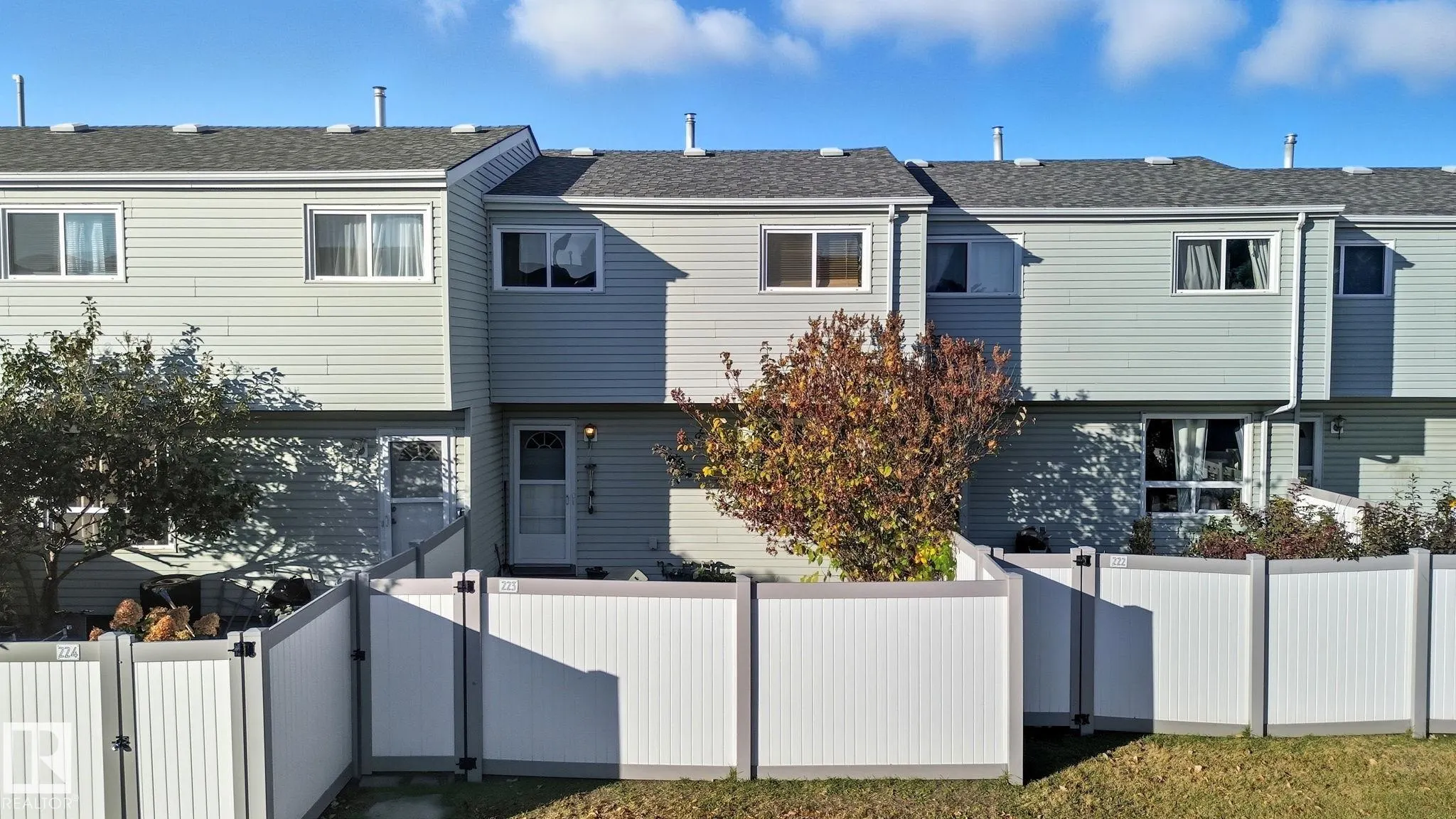 223 DICKINSFIELD Court