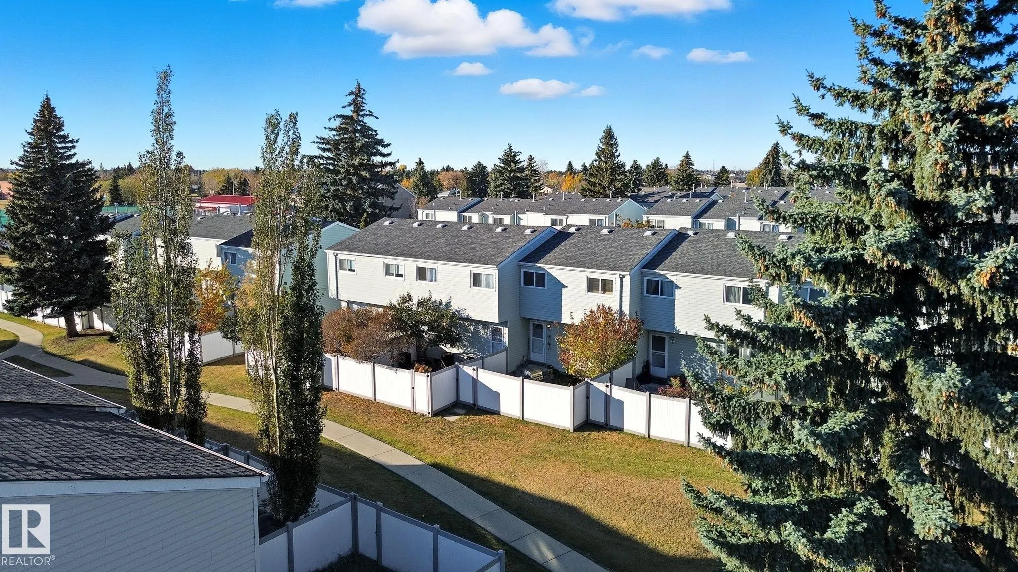 223 DICKINSFIELD Court