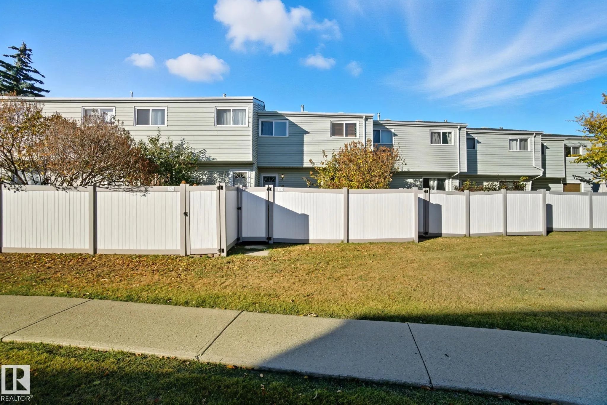 223 DICKINSFIELD Court