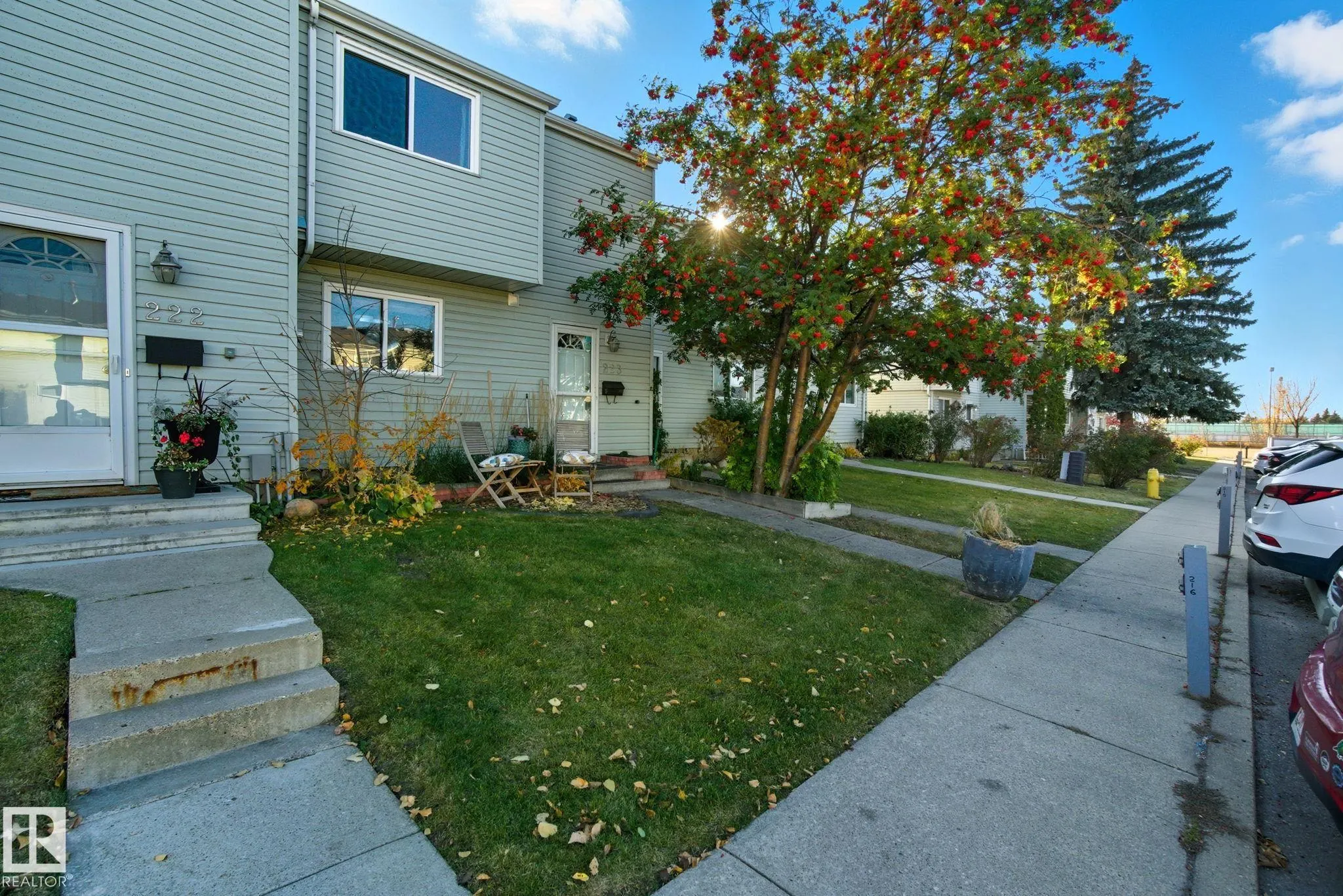 223 DICKINSFIELD Court