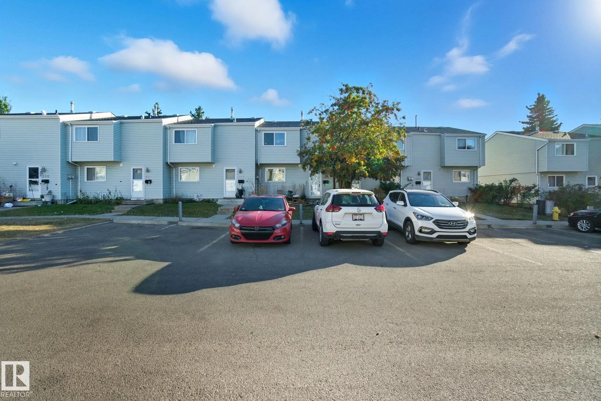 223 DICKINSFIELD Court